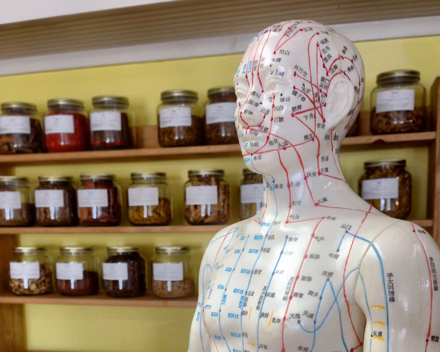 acupuncture + Herbs.jpg