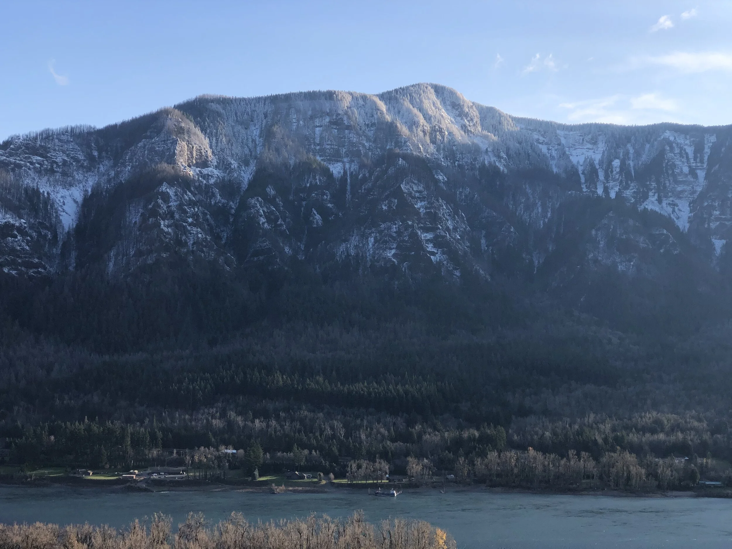 Emotional Integration Technique