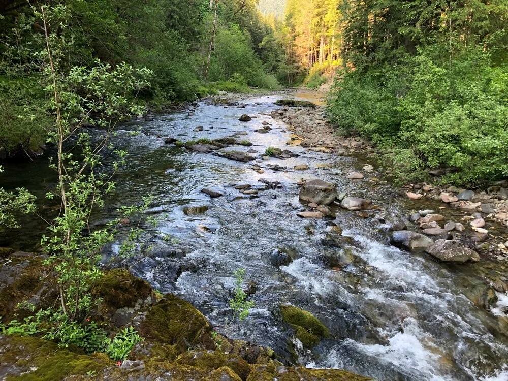 Hydrotherapy: Contrast Bathing