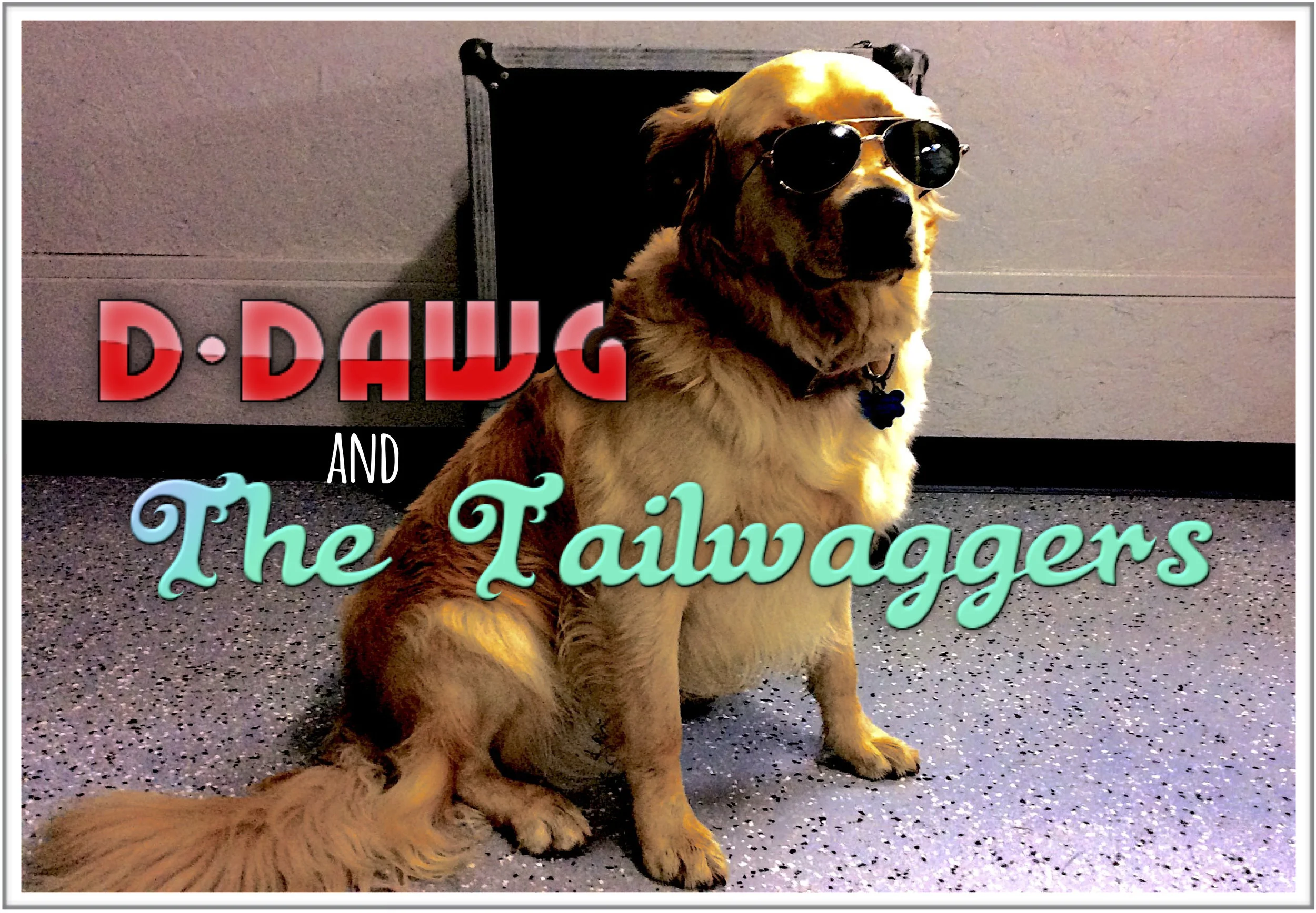 D-Dawg & The Tailwaggers
