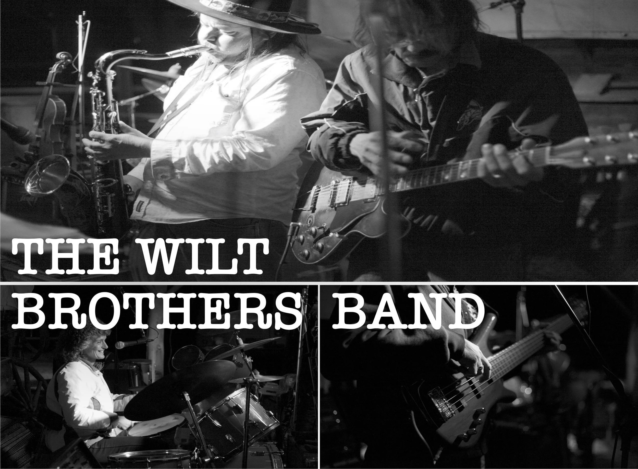 The Wilt Brothers Band