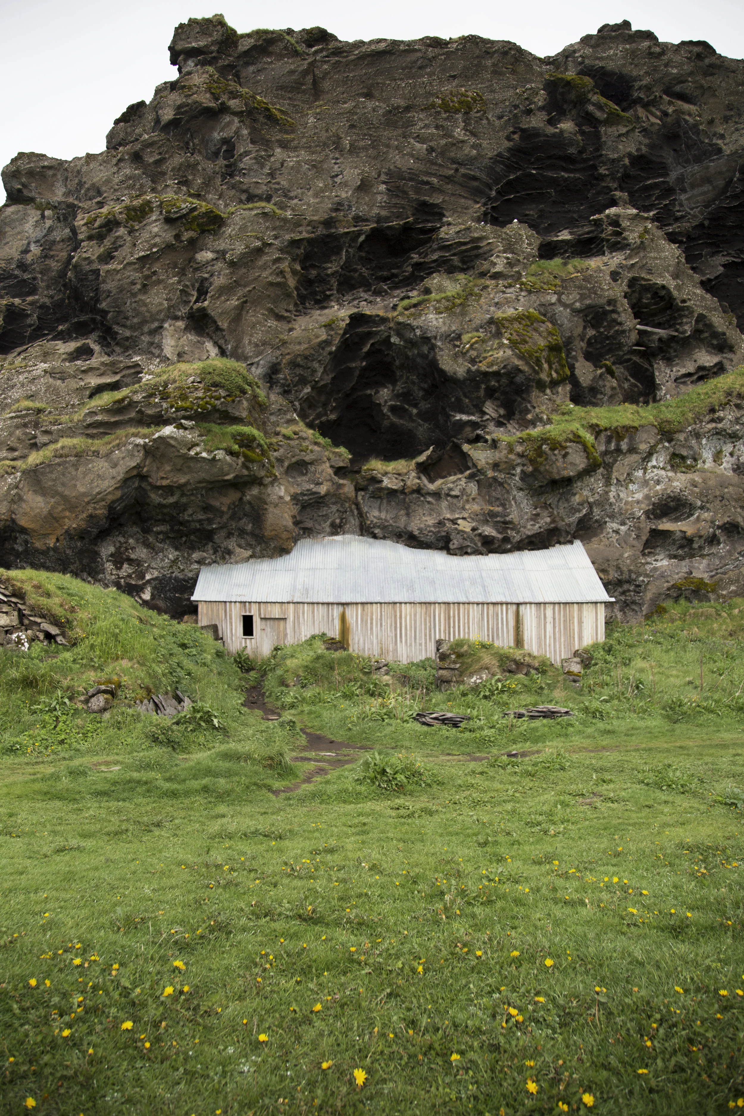 landscape1.JPG