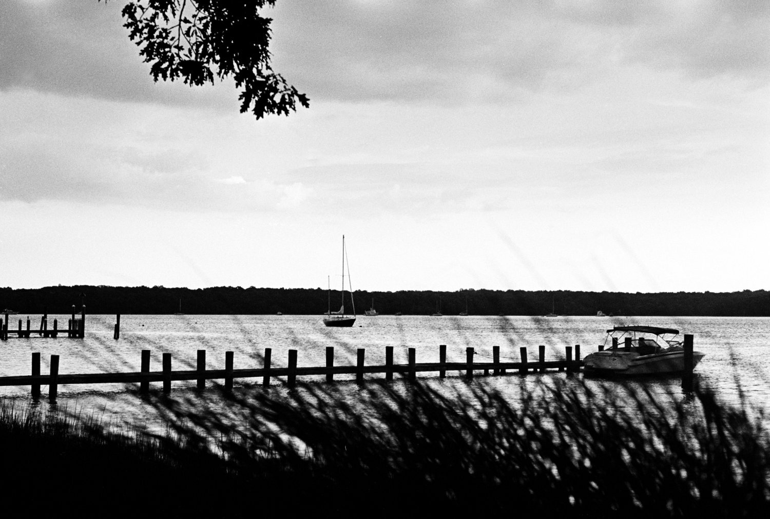 shelterisland7.jpg