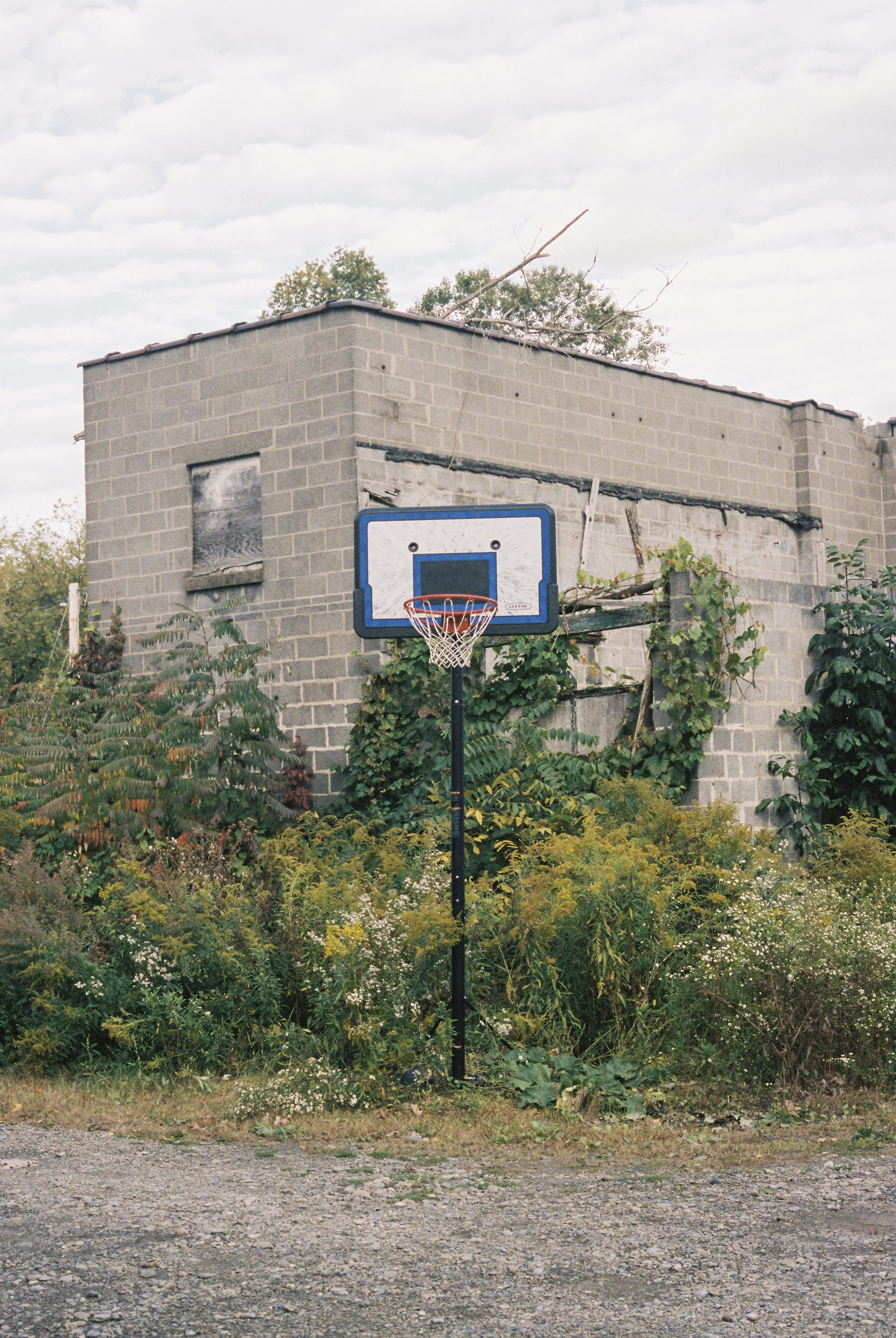 film14 2.JPG