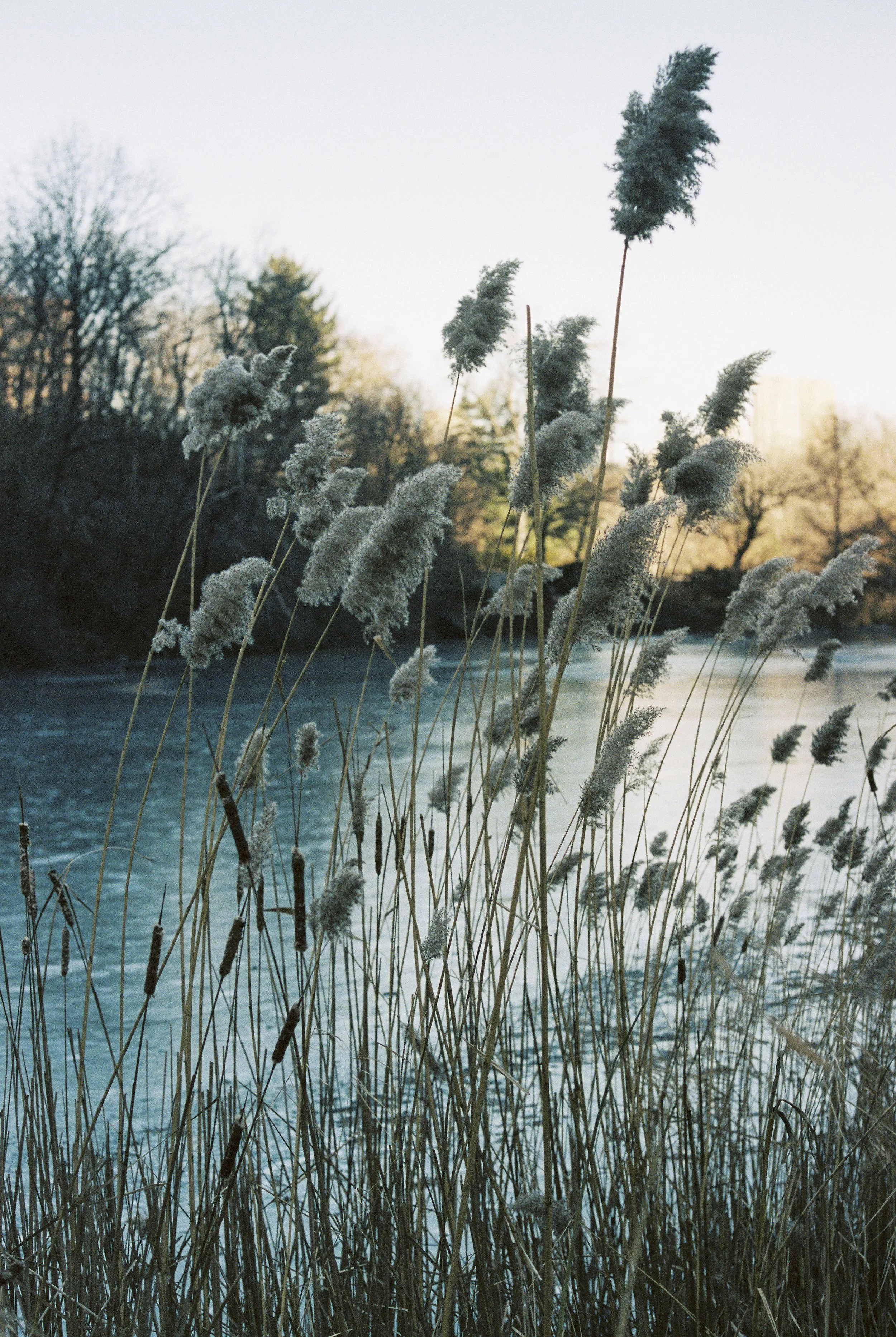 film18 2.JPG