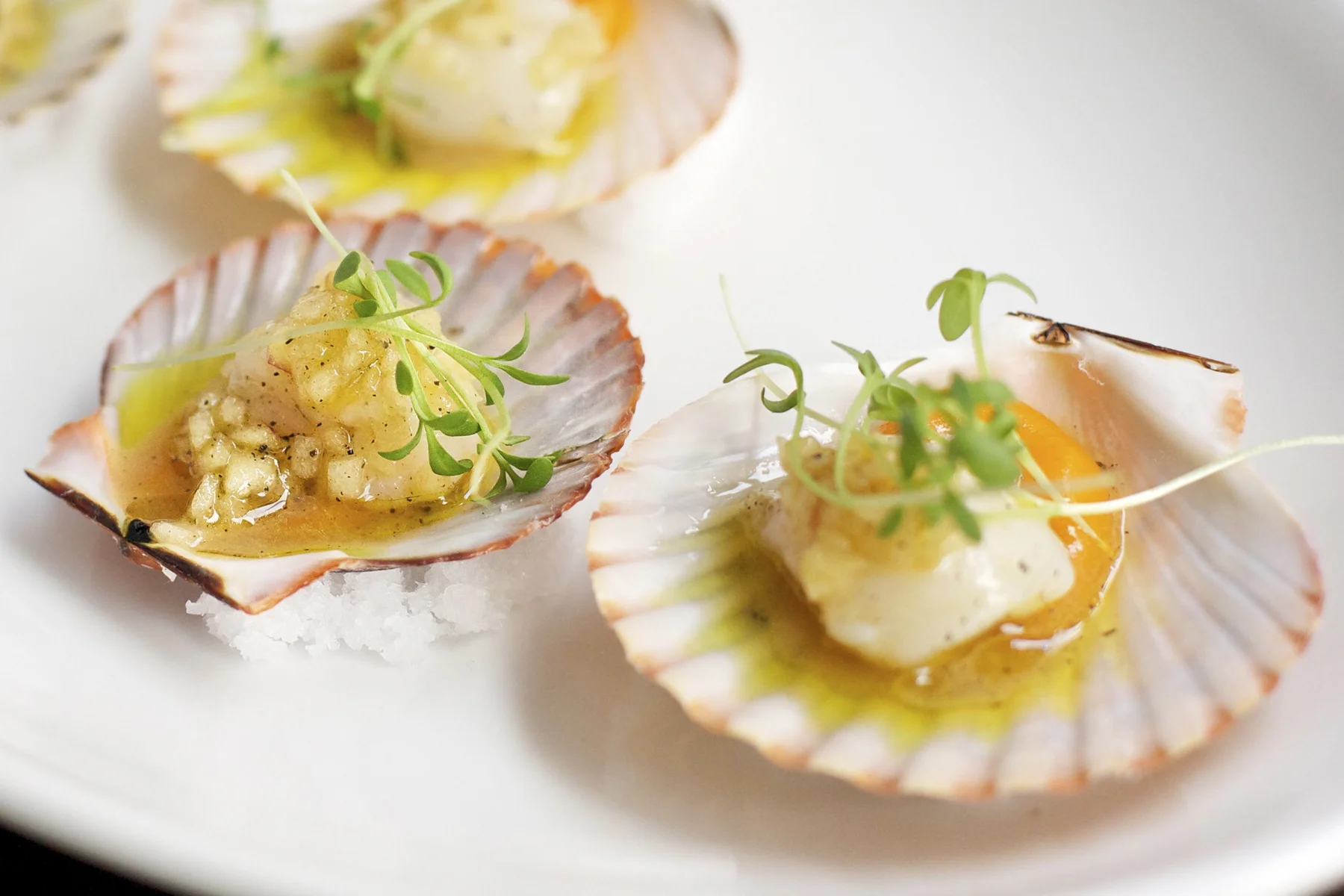 PE6_PHOTO_SCALLOPCRUDO.jpg
