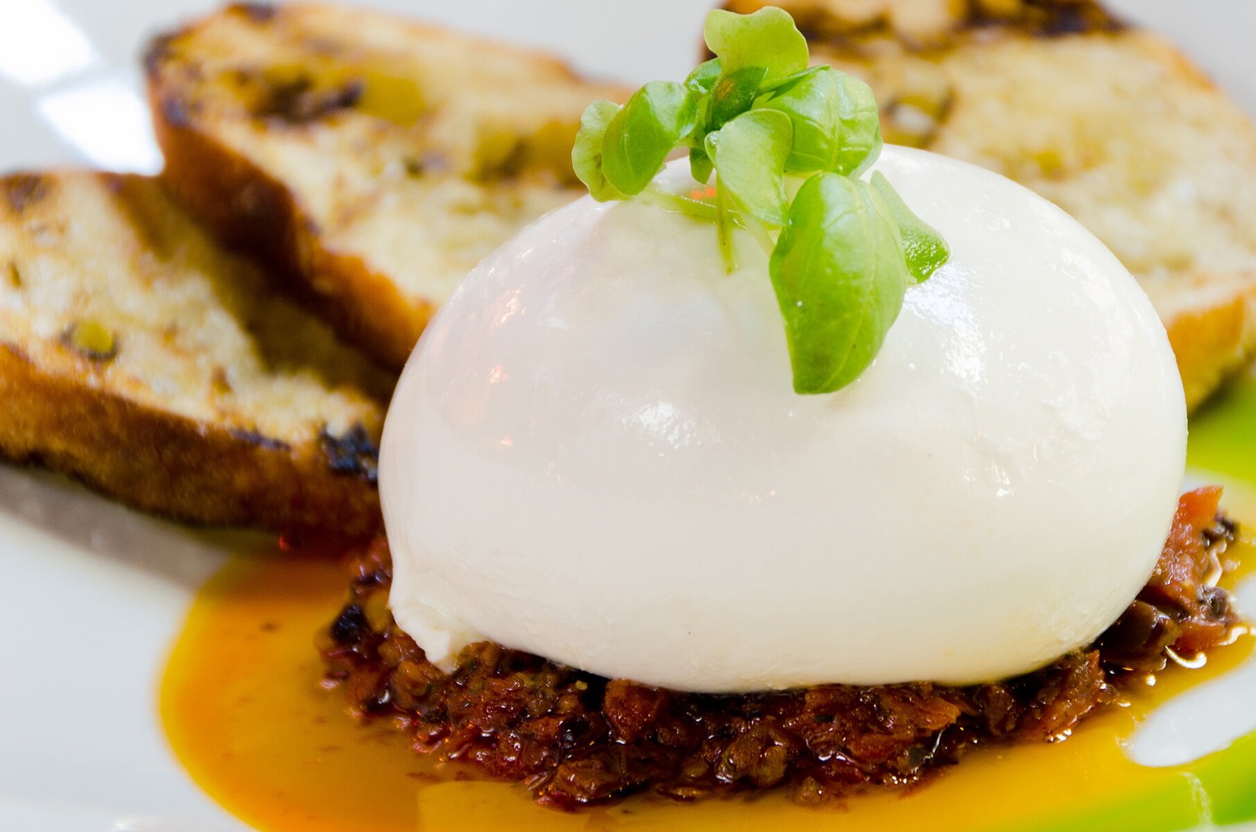 PE6_PHOTO_NY_BURRATTA.jpg