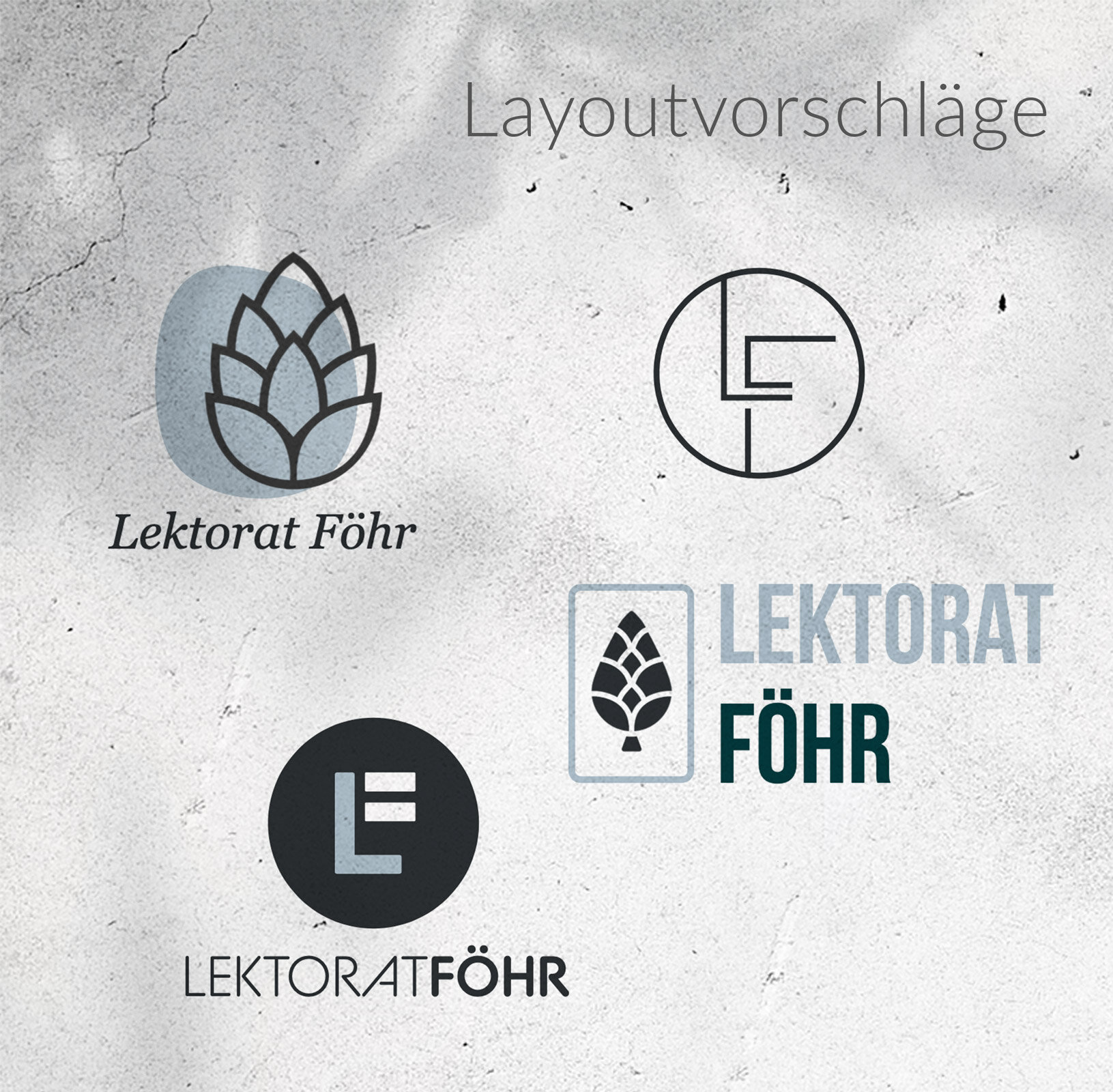 lektorat-foehr-logo-3.jpg