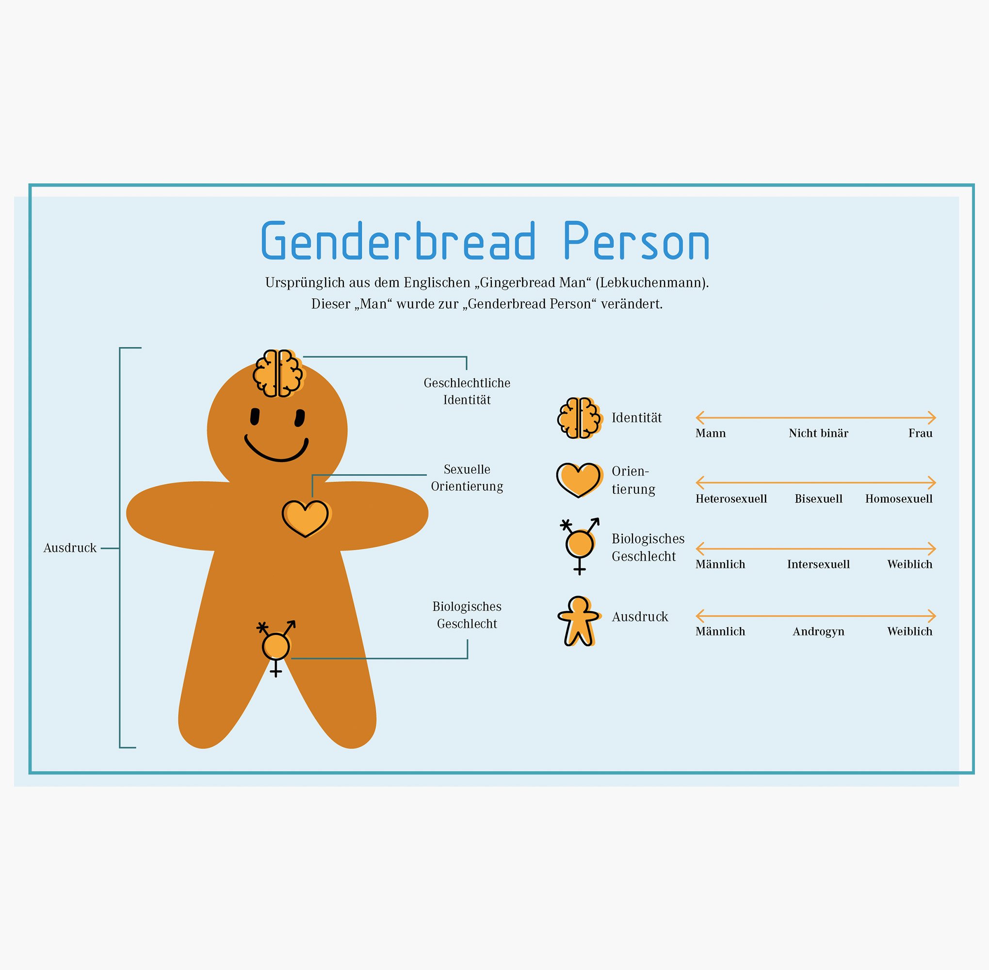 VDI_Genderbread.jpg