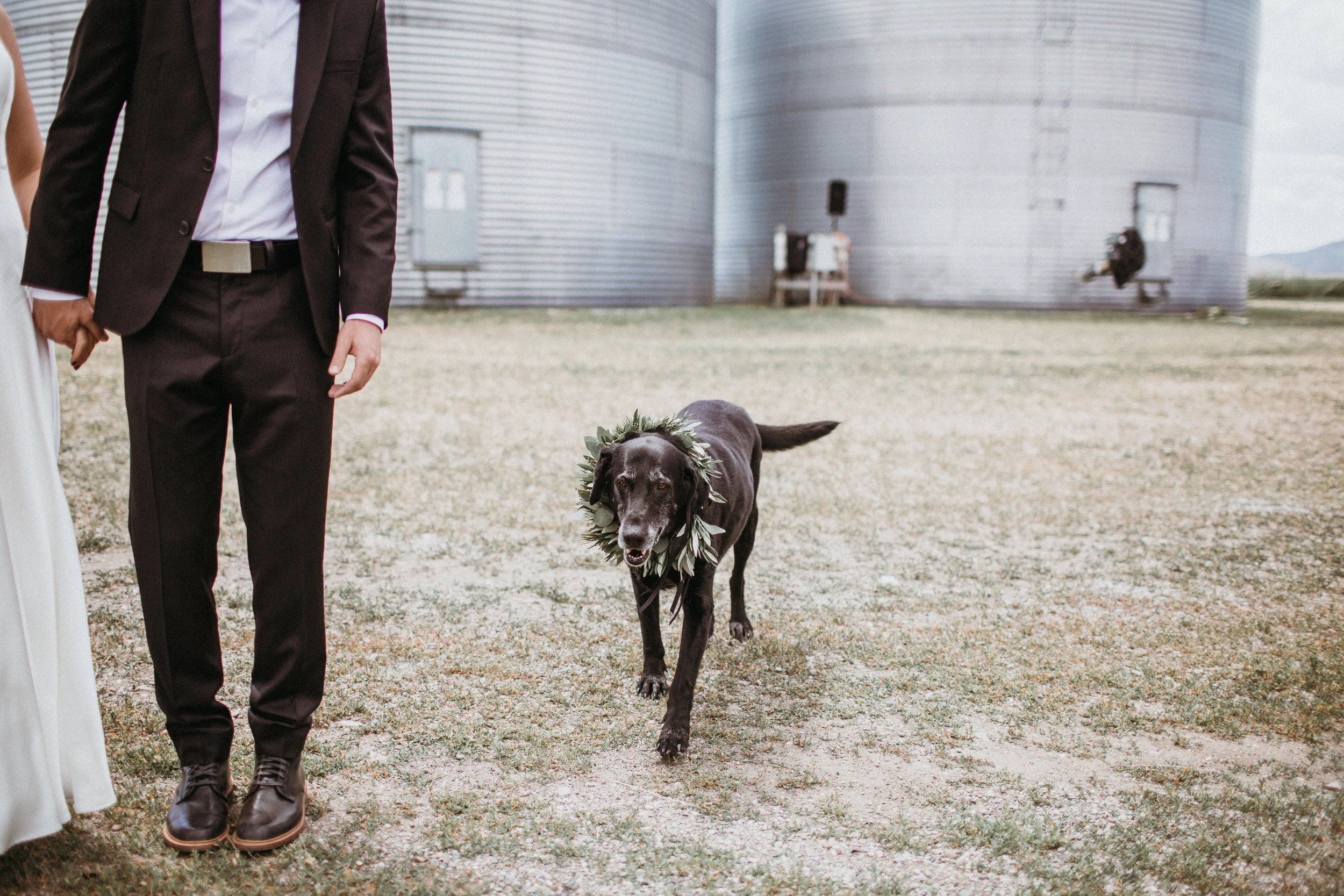 danny_mia_wedding-216.jpg
