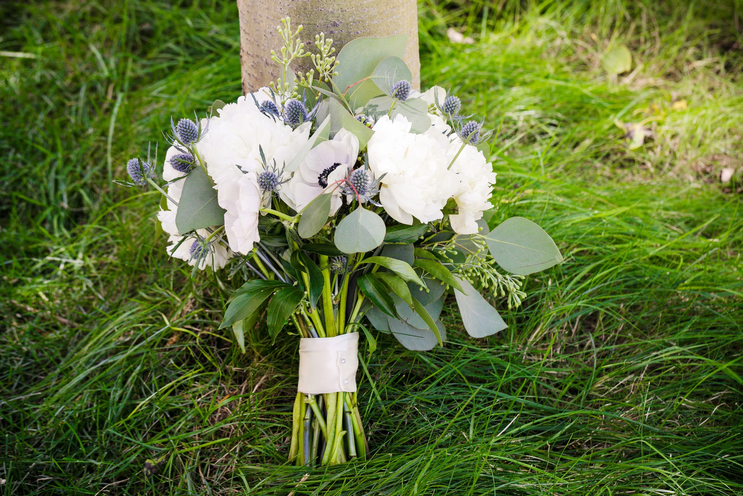 KCP_0402-edit.jpg