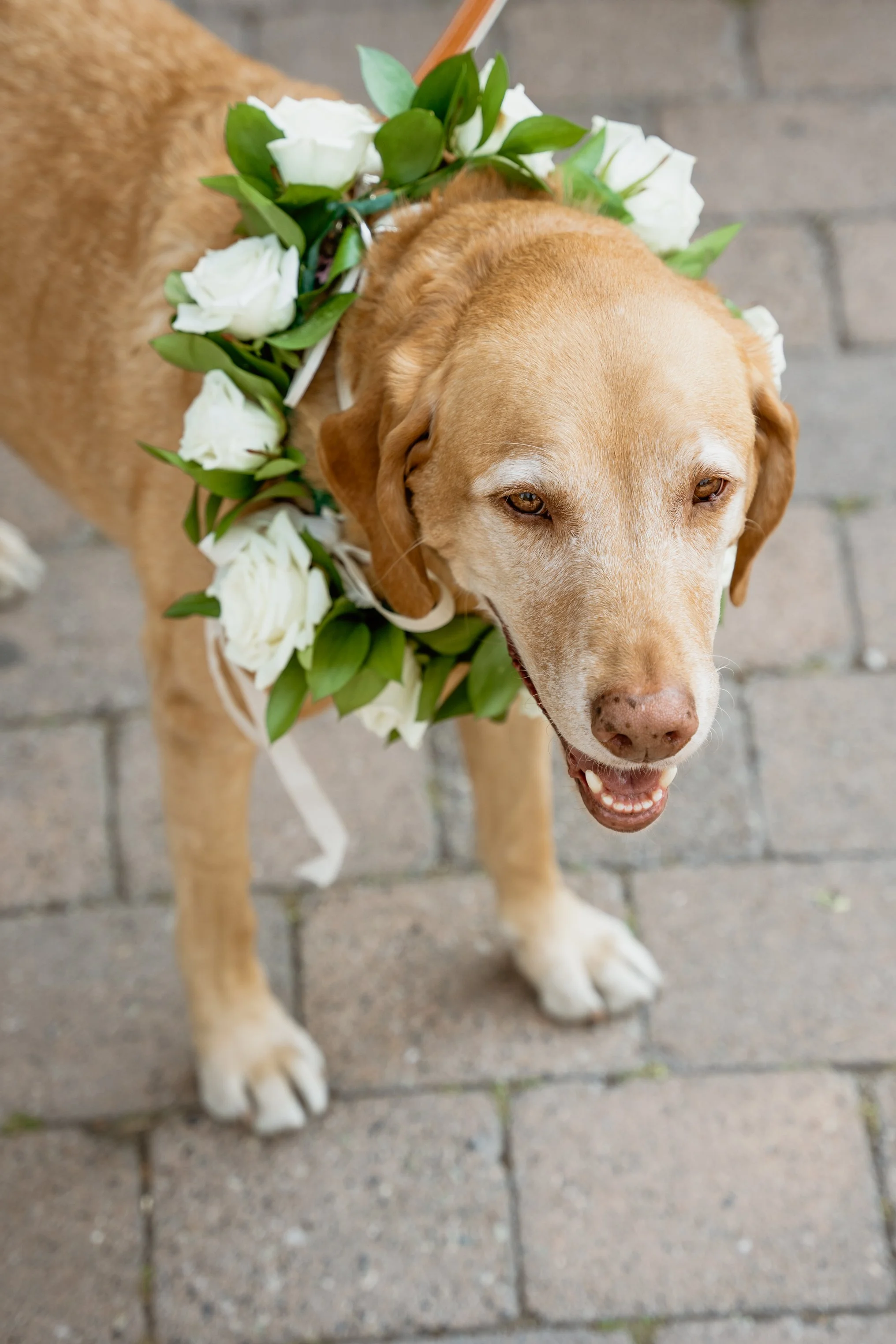 210905_Allie&Matt-199.jpg