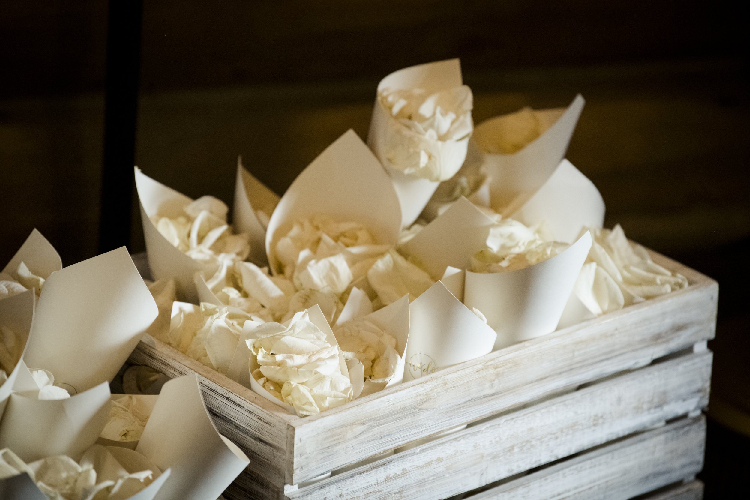 Taylor and Alex Wedding_207.jpg