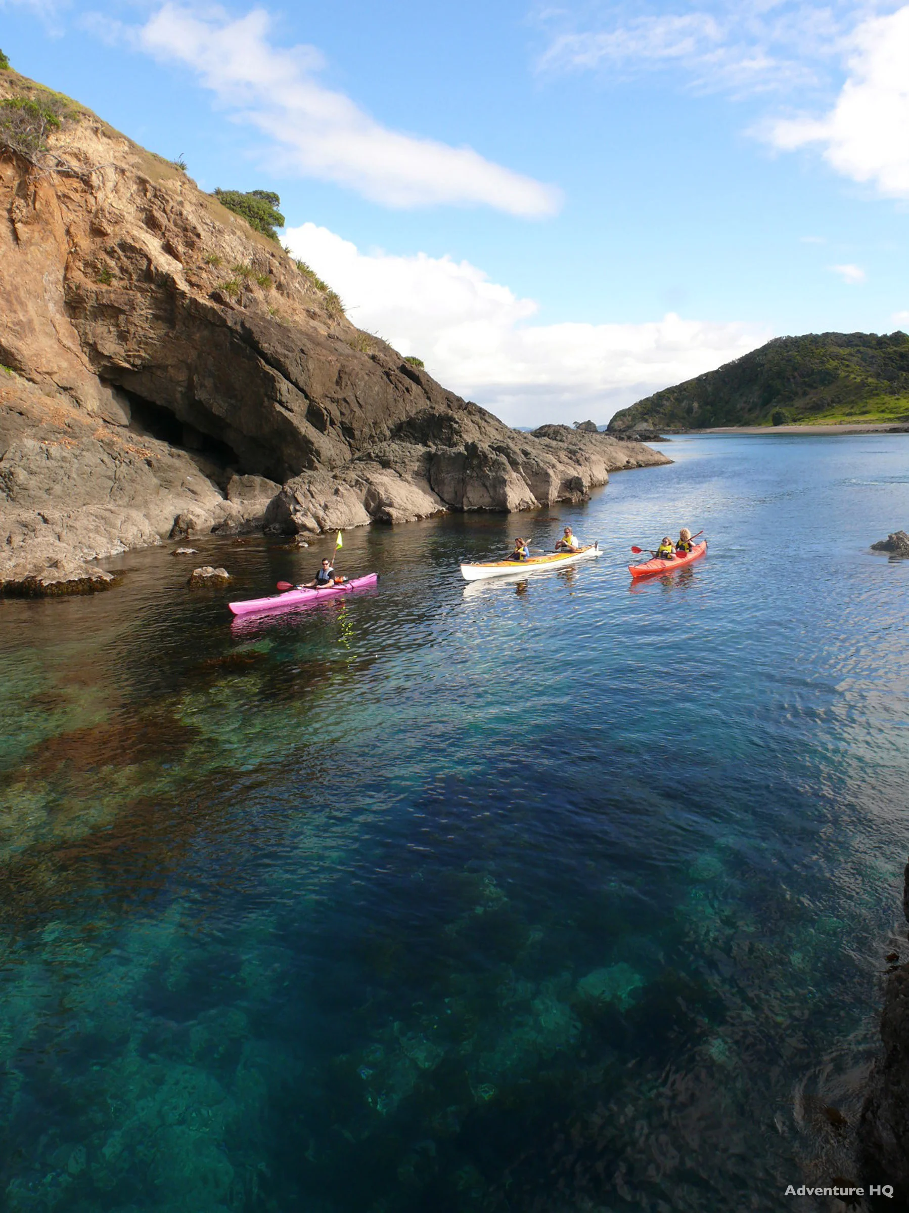 Aroha Island, beaches, paradise, wildlife and real kiwi