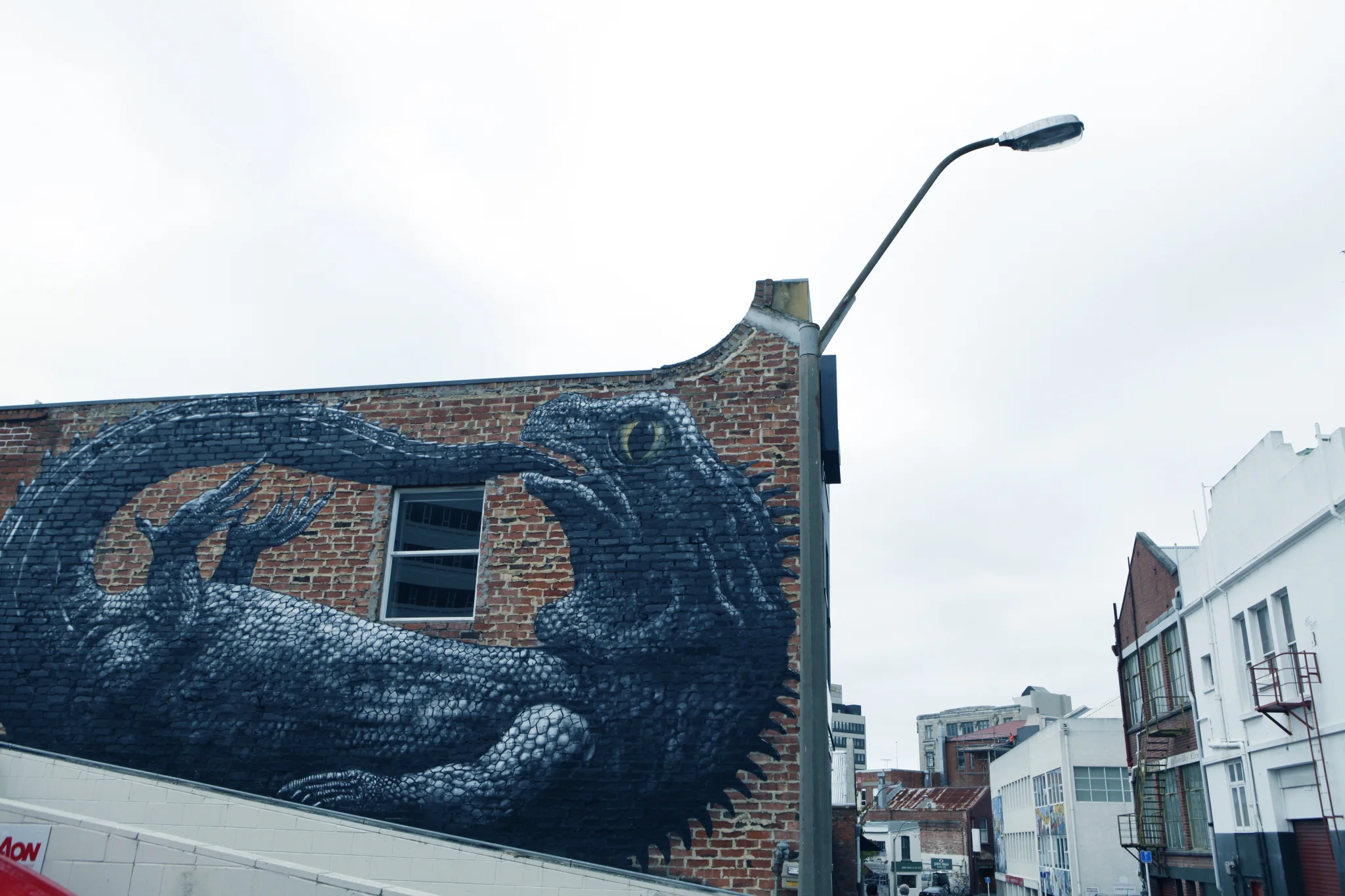Dunedin, Discover Street Art, Fabulous Cafes and Modern Charm