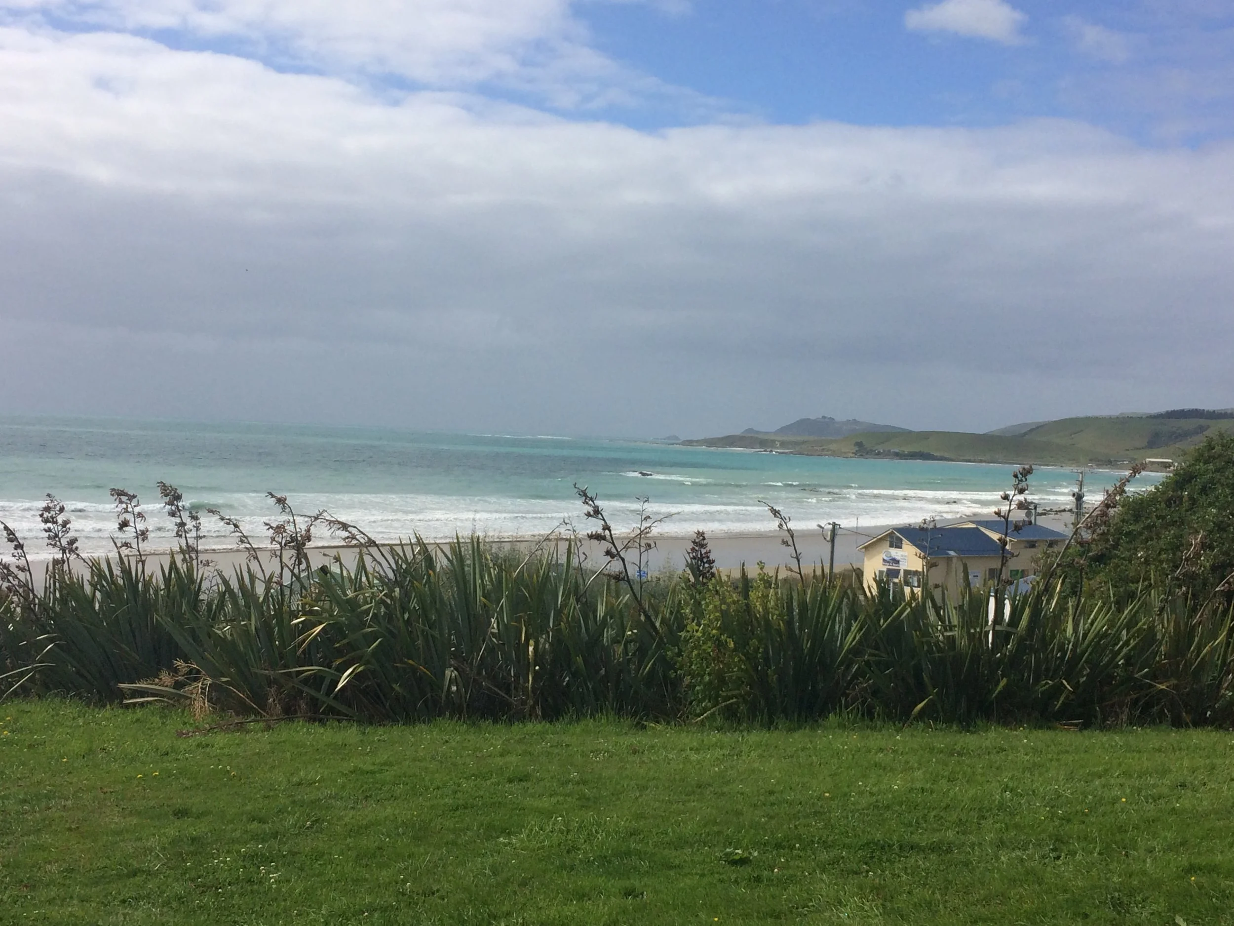 Porpoise Bay the place to spot Hector's Dolphins surfing the waves