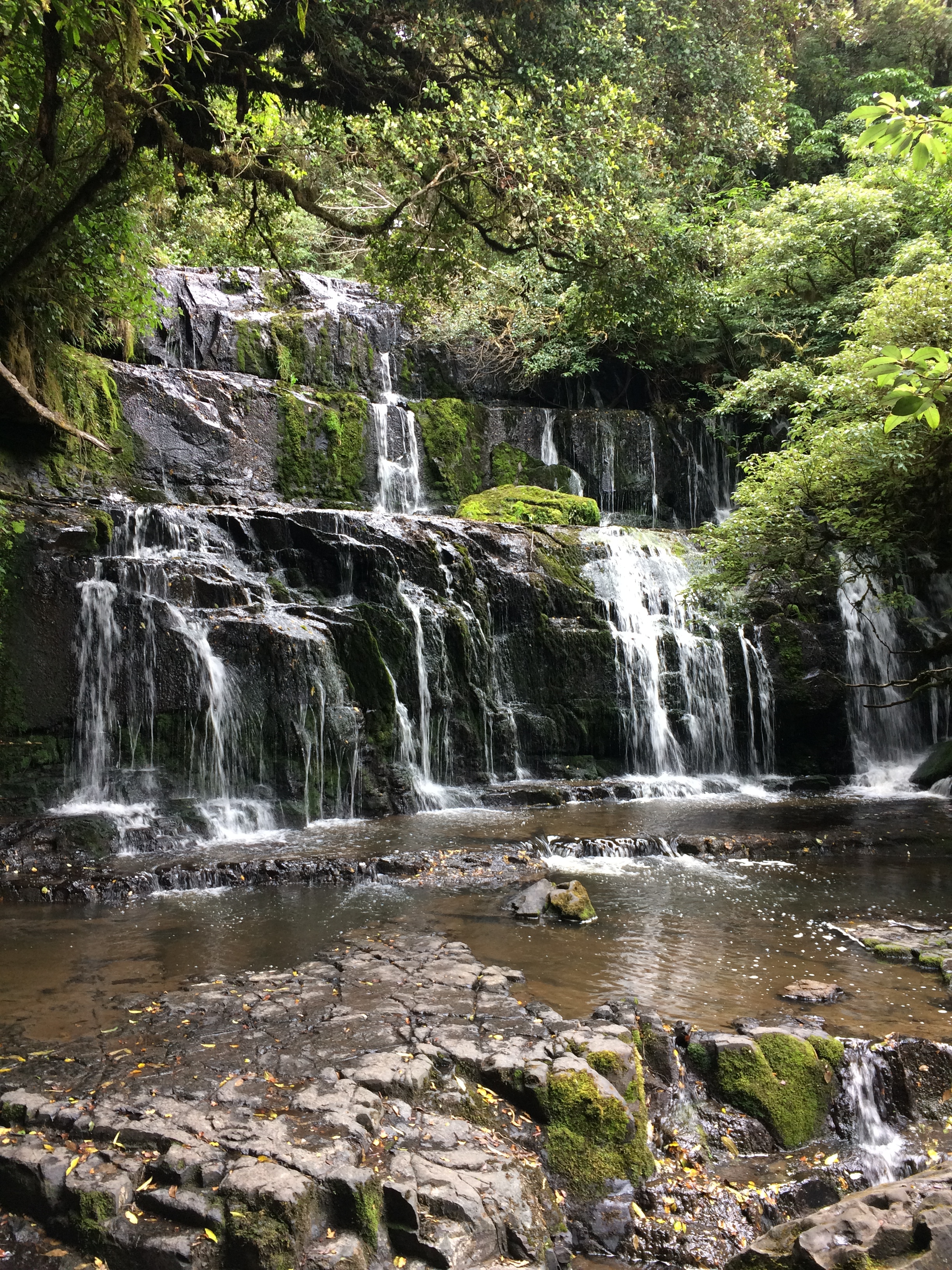 Purakaunui Falls, a photographers dream