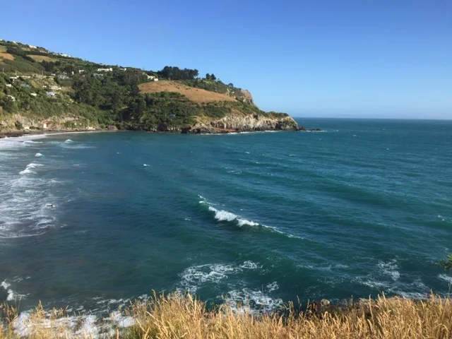 Talyors Mistake, beach, surf and scenic walk