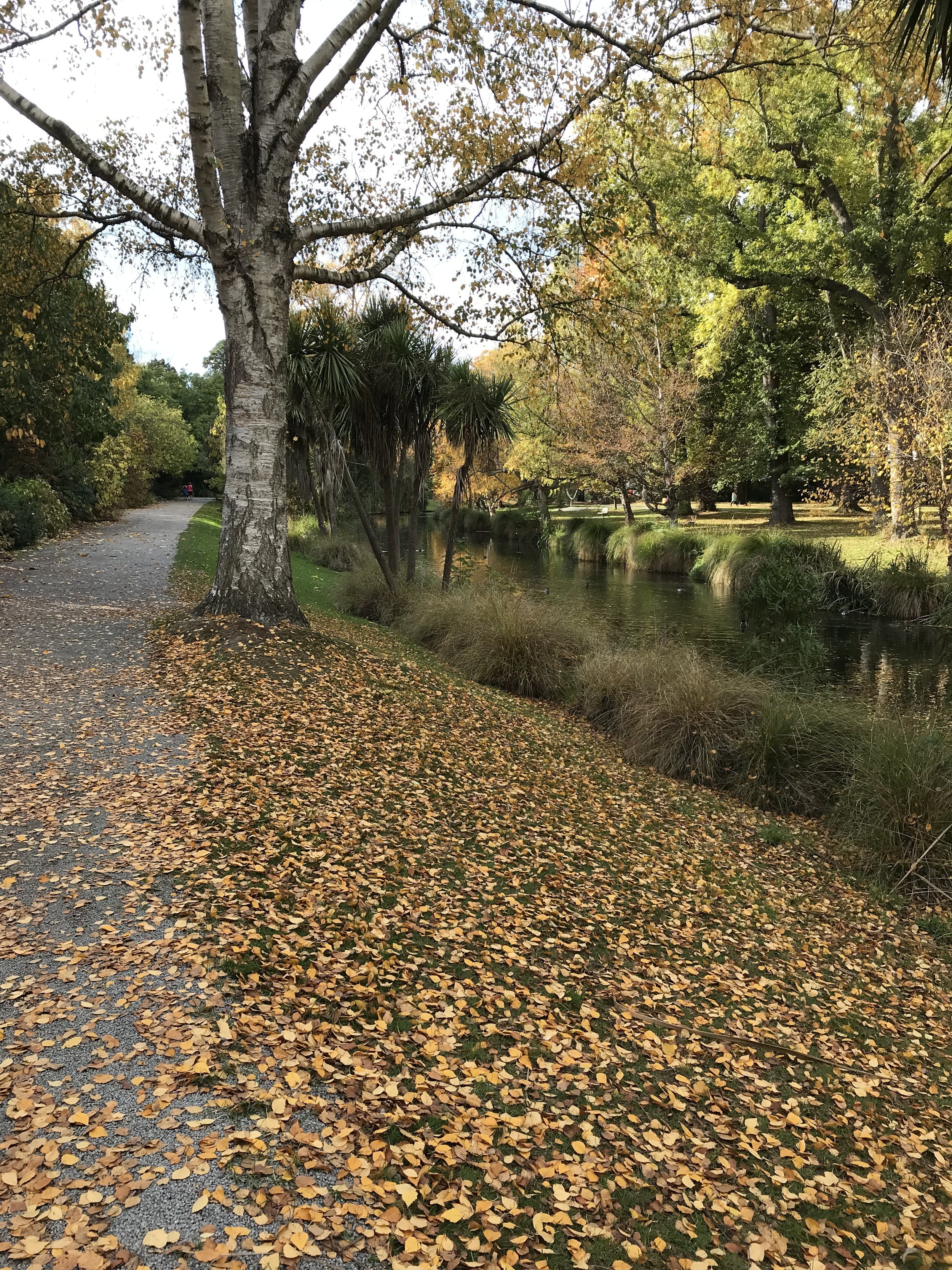 Christchruch Botanic Gardens - a tranquail oasis in the heart of the city