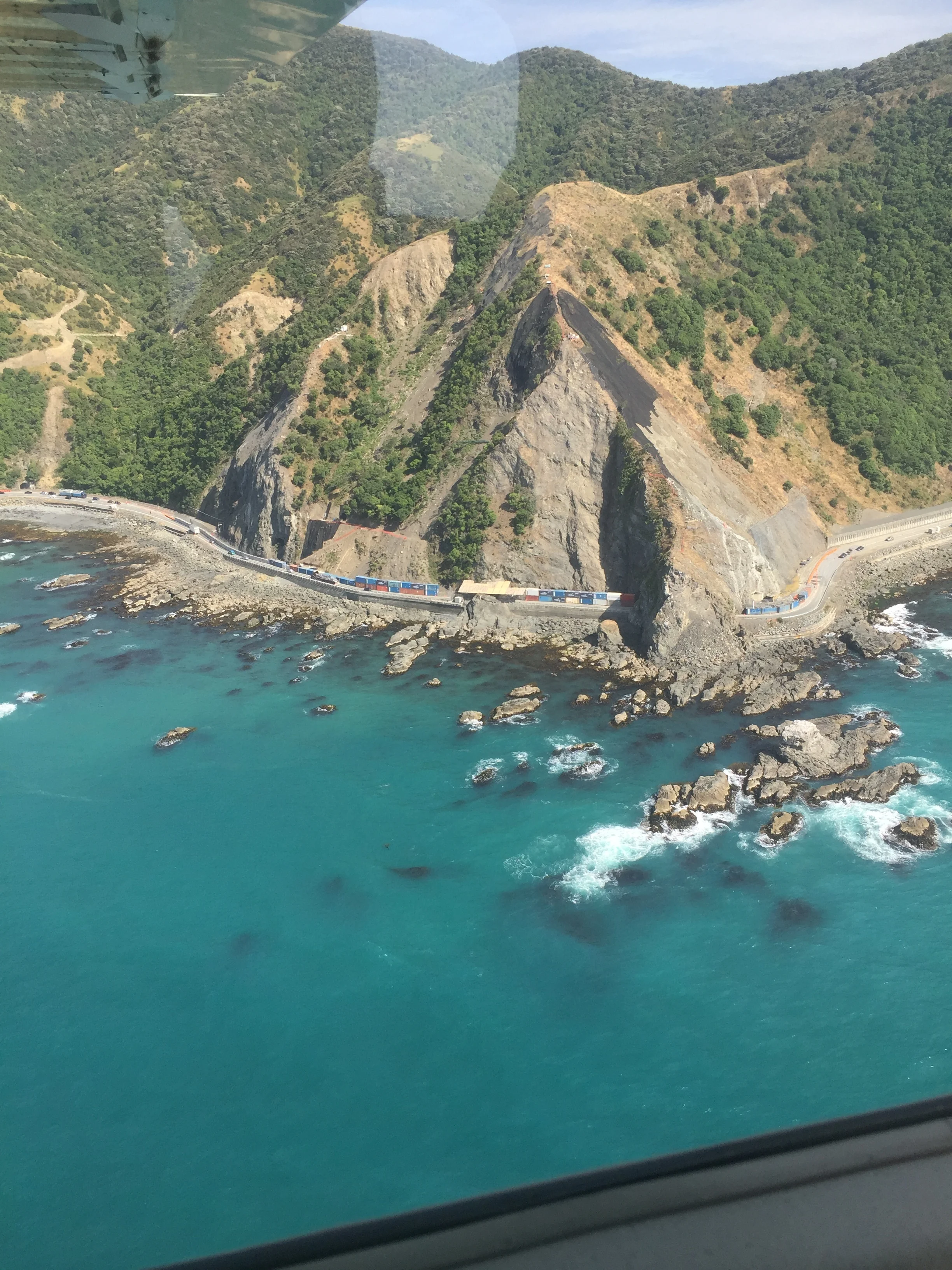 Spotting whales in Kaikoura