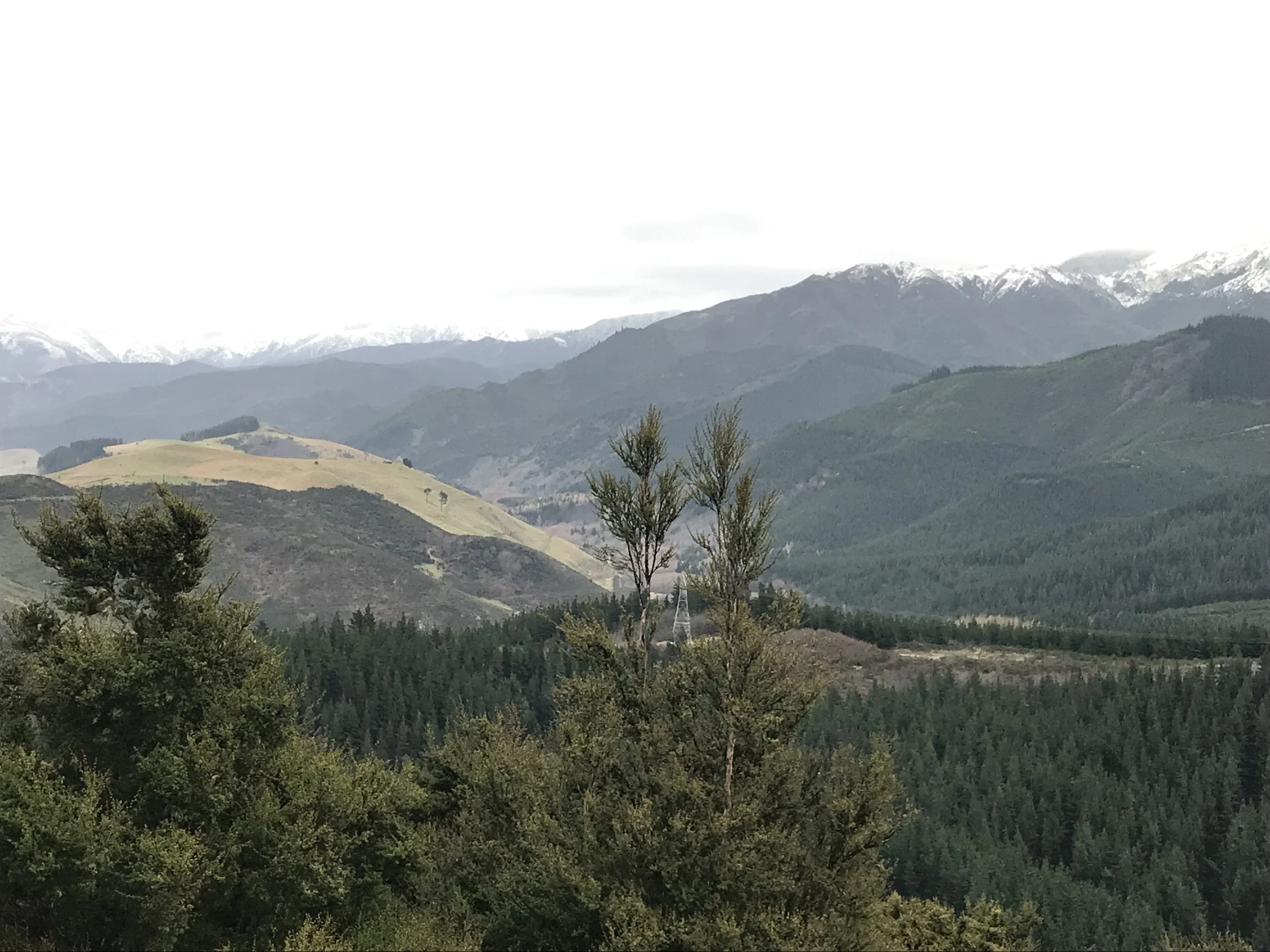 Conical Hill Recreation Reserve, Hanmer Springs