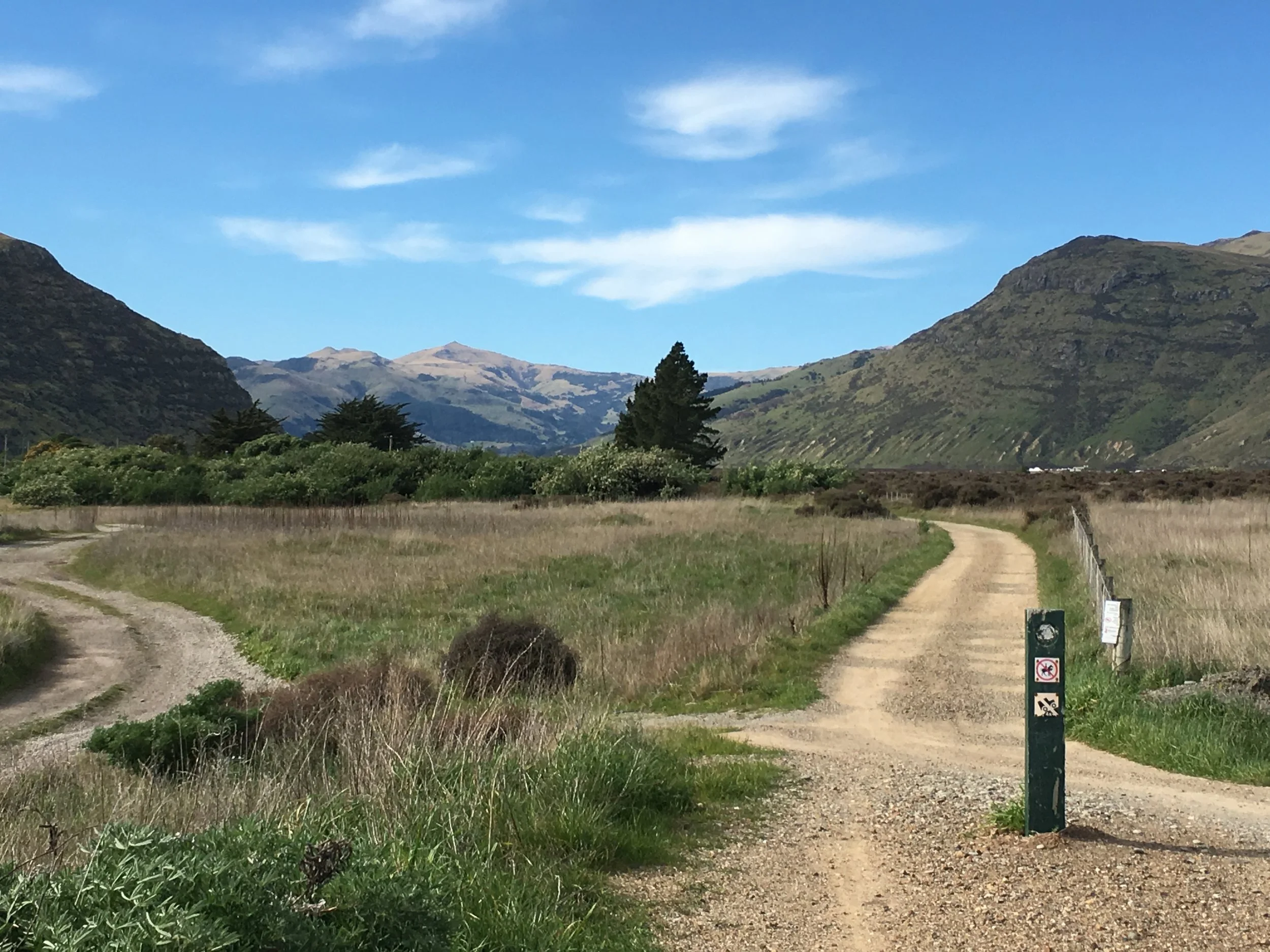Mountain bike the Little River Rail Trail - epic mountain to lake views