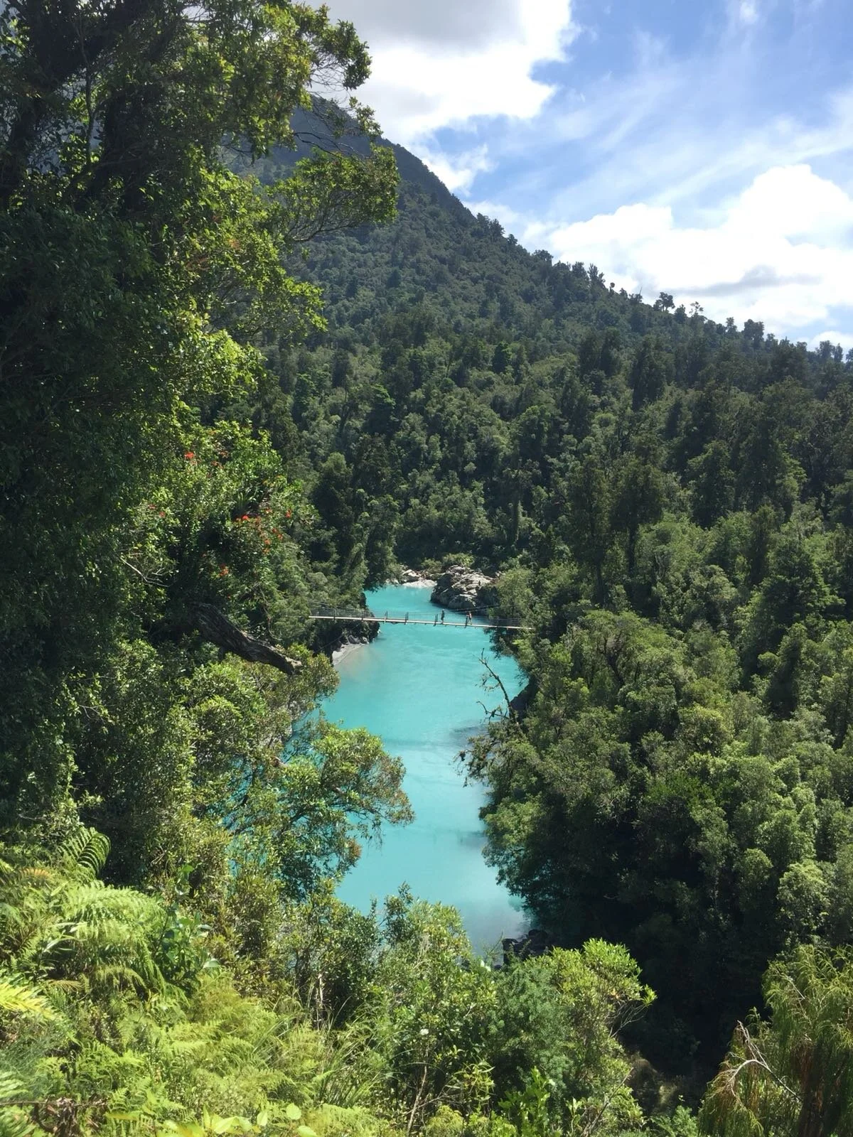 A journey to the West Coast - Arthurs Pass to Hokitika