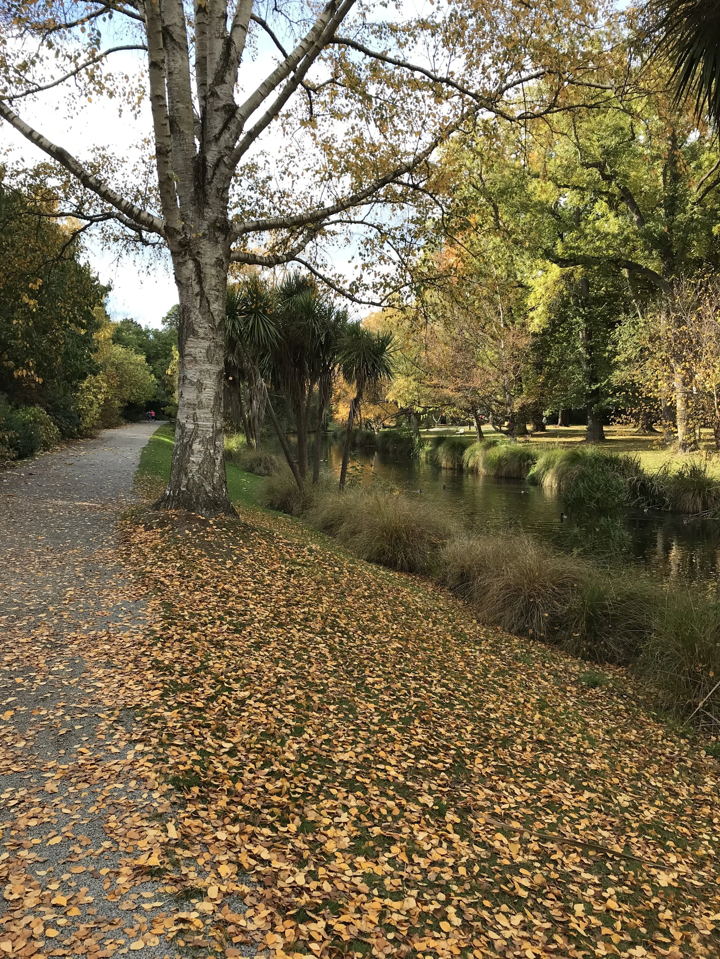 Rebuilding Christchurch, the city that never gives in