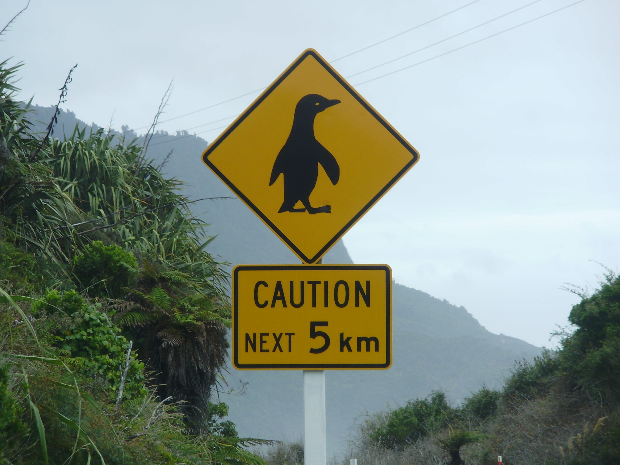 2009 Thailand 591.JPG