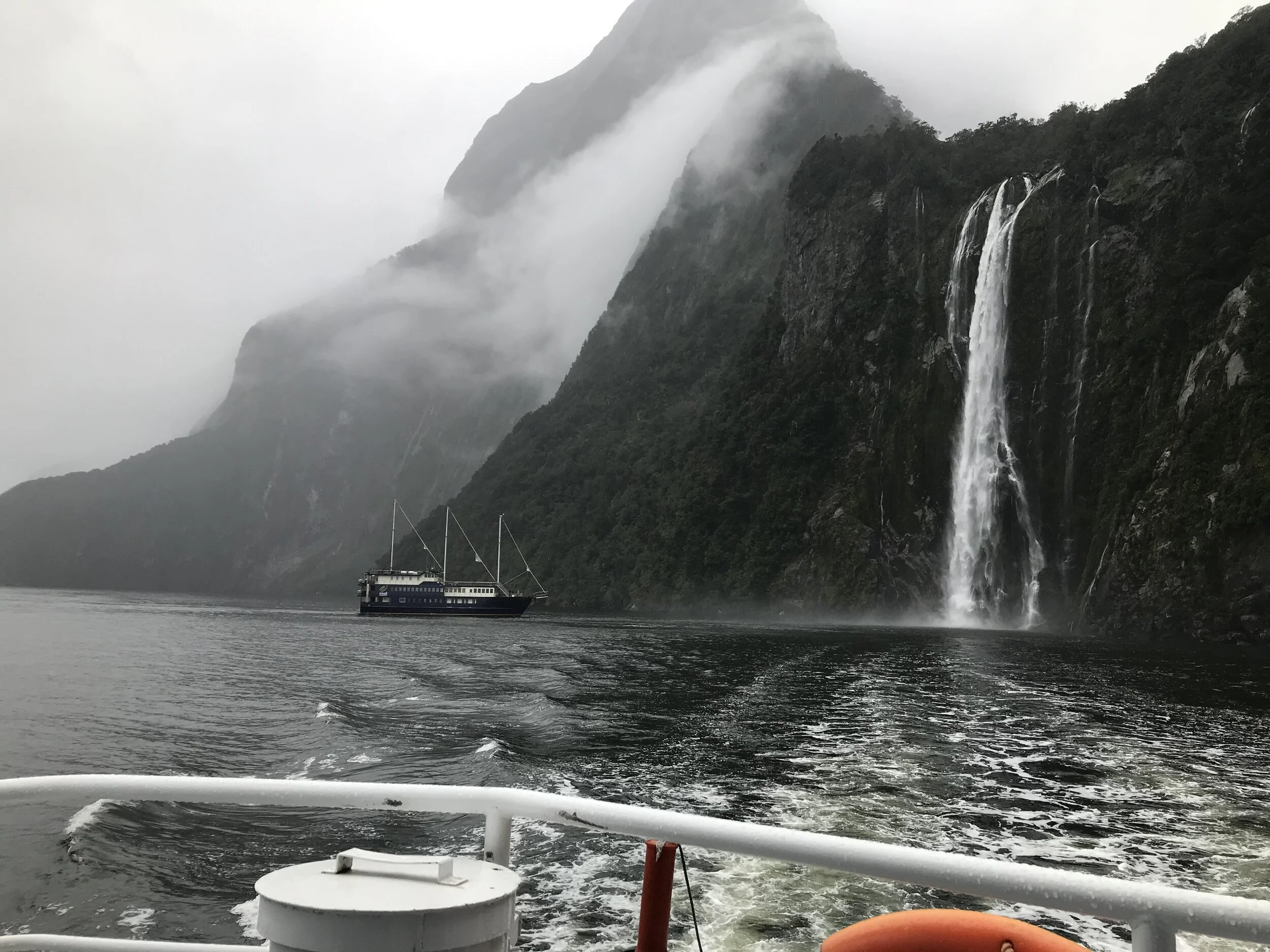 Milford Sound, a nature cruise on the wild side