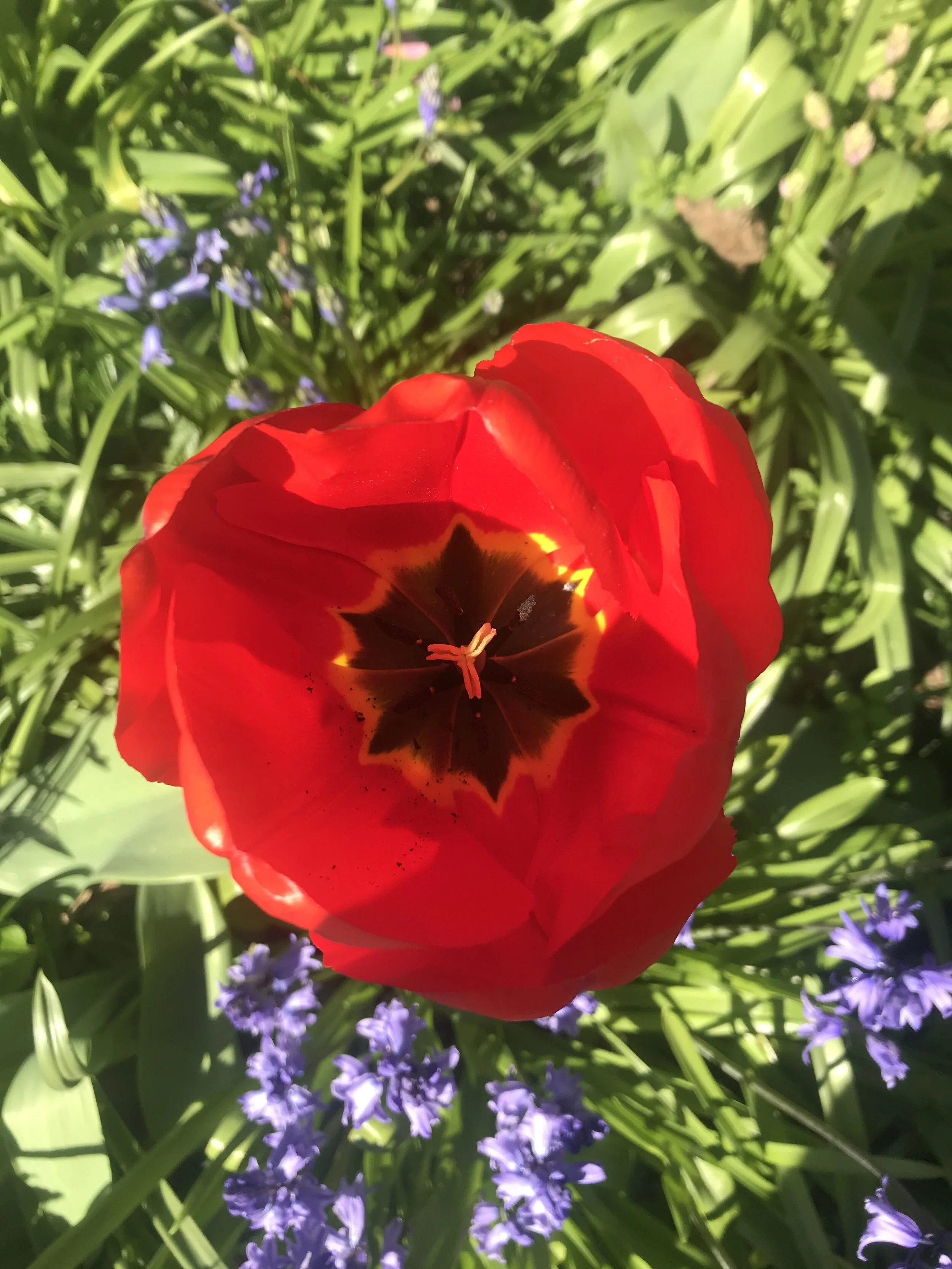 Spring days like these.......