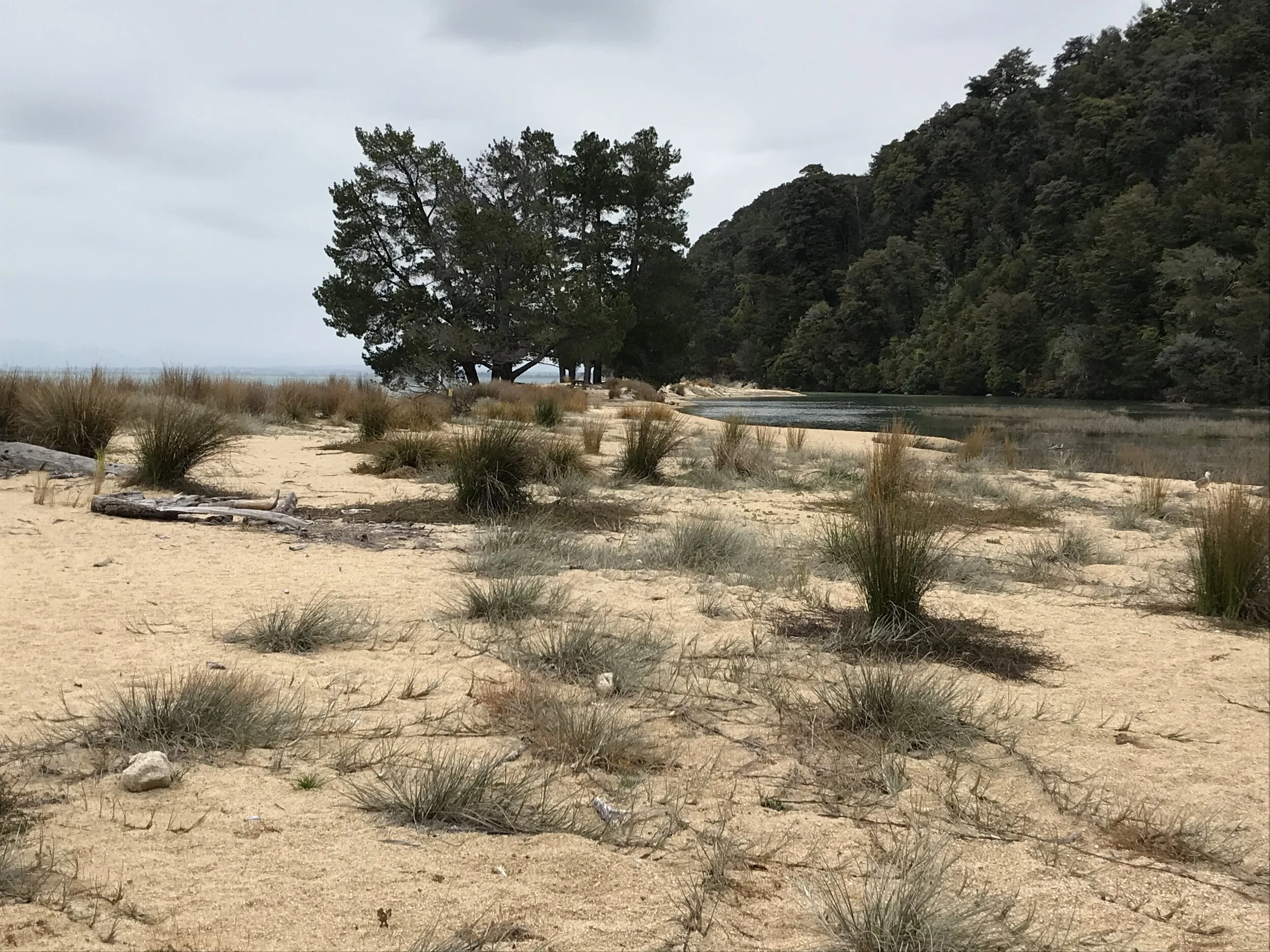 Abel Tasman National Park - hiking a New Zealand coastline