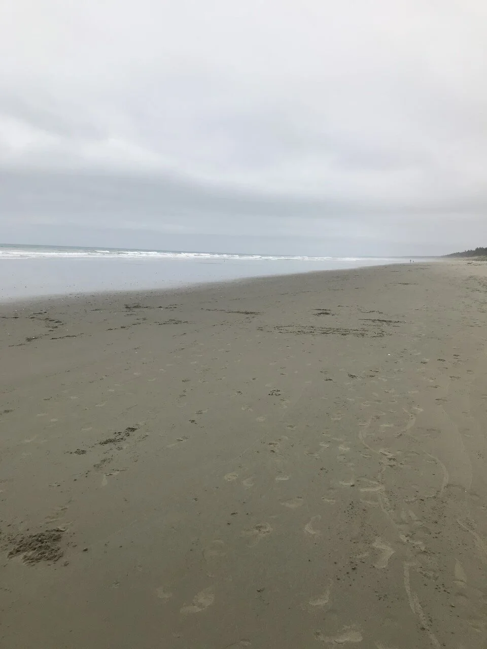 Life's a beach, especially on a summers weekend