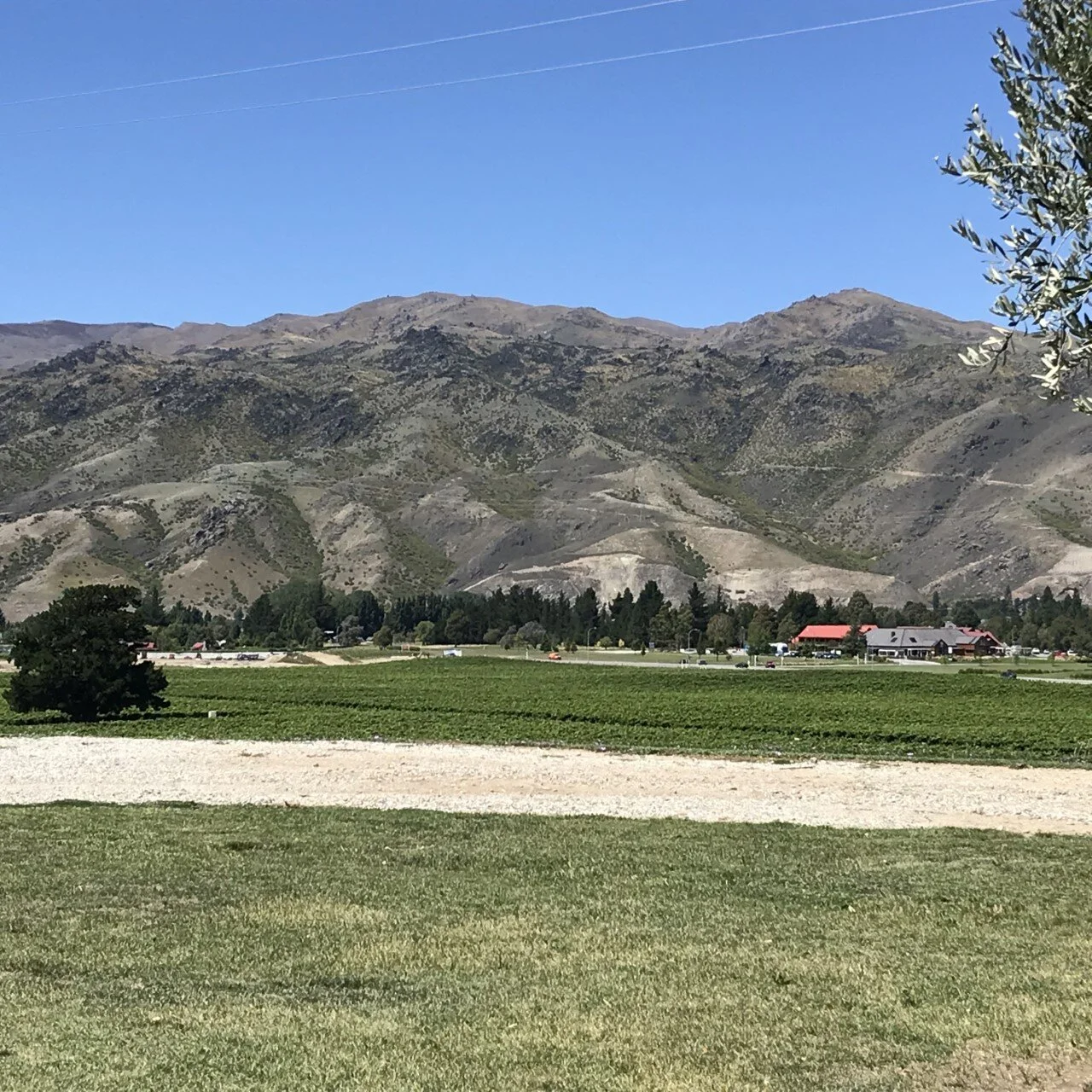 View down across the Cromwell area from Scott Base winery