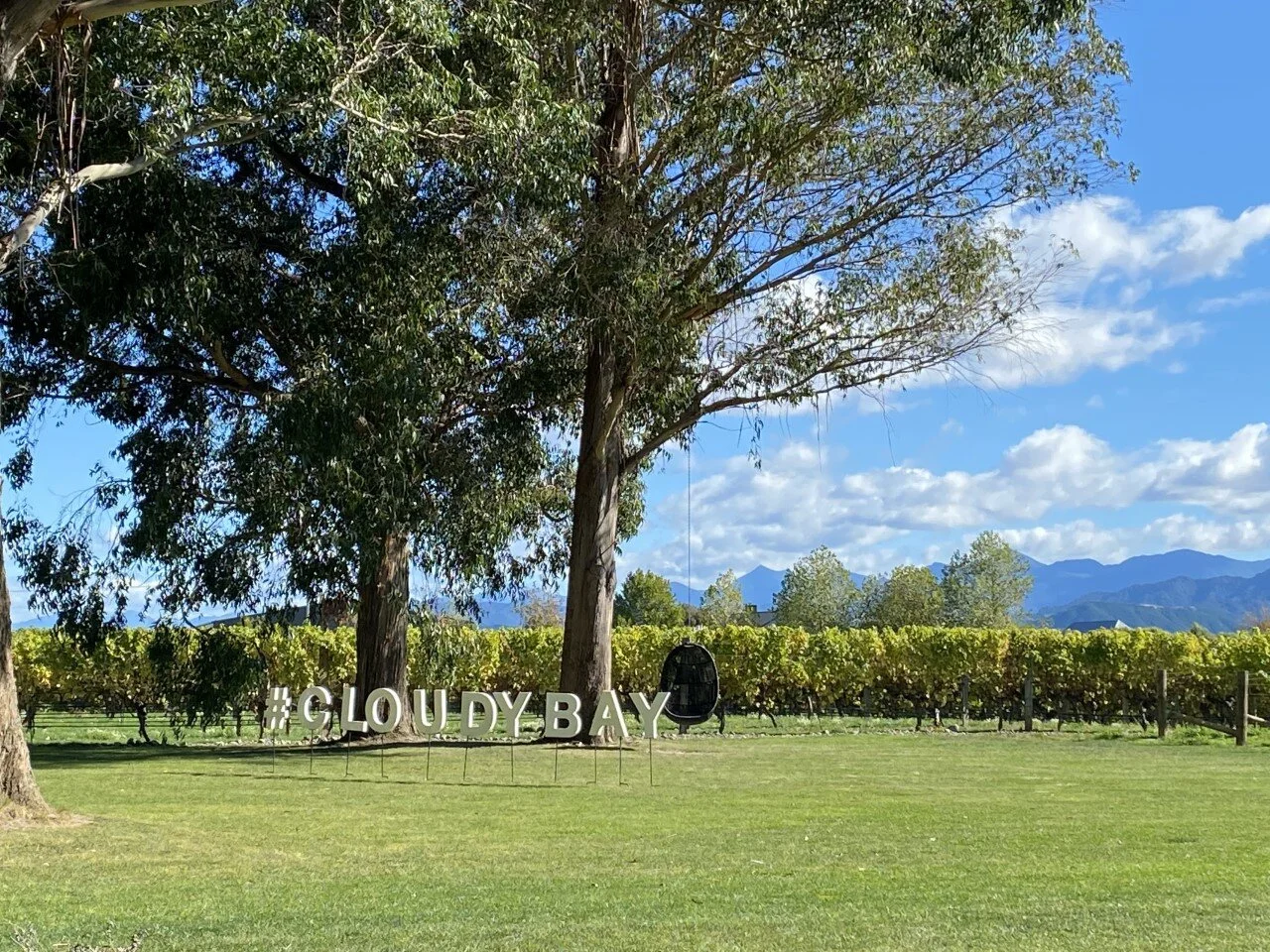 Wine tasting in the home of Sav Blanc, Marlborough