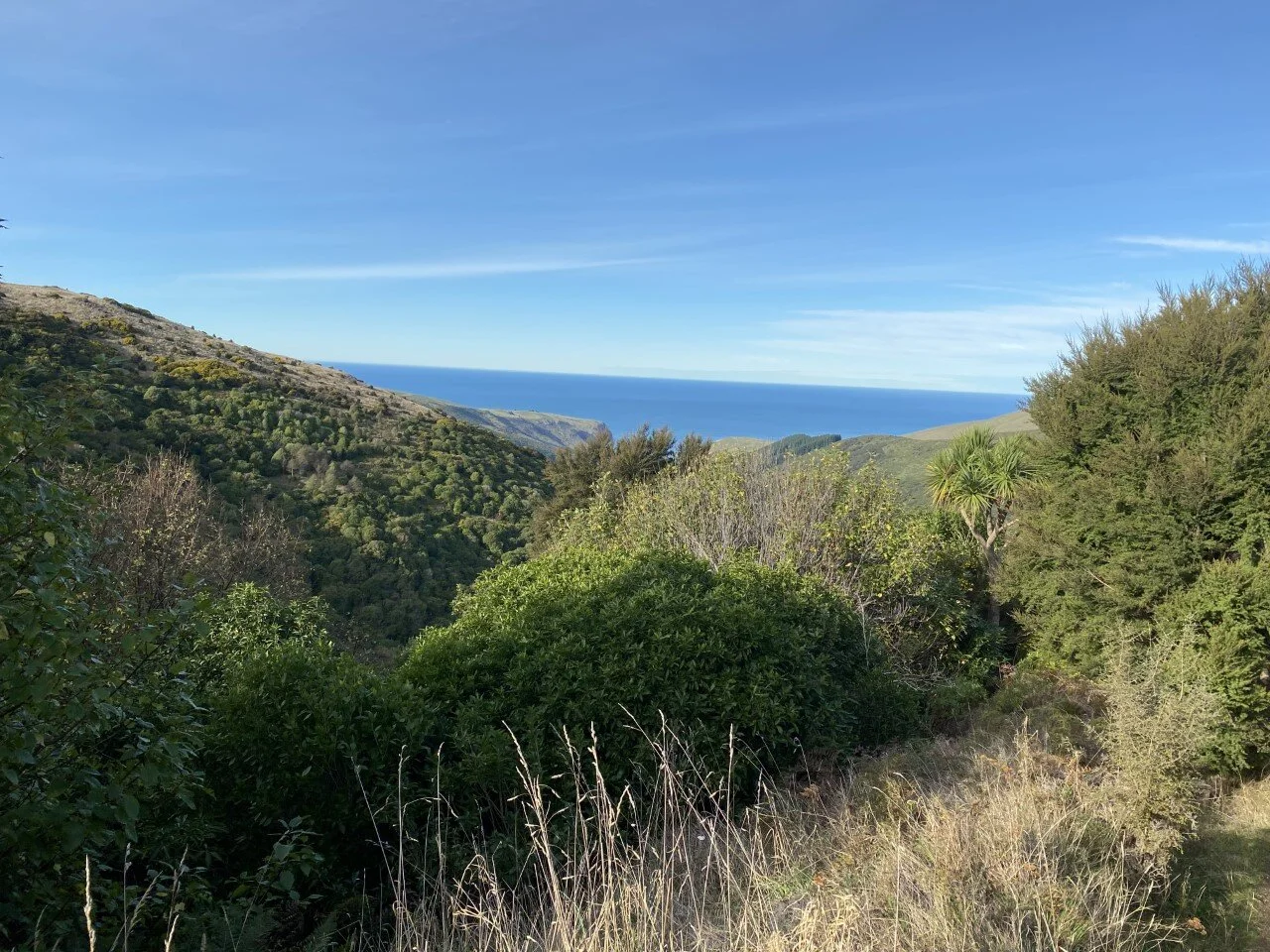 Hinewai Reserve - at the far end of Banks Peninsula there is a very special place