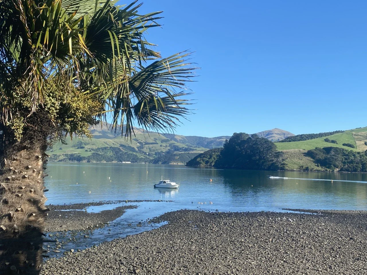 Accommodation Inspirations Part 3  - Waterfront Motel at Akaroa, Banks Peninsula 