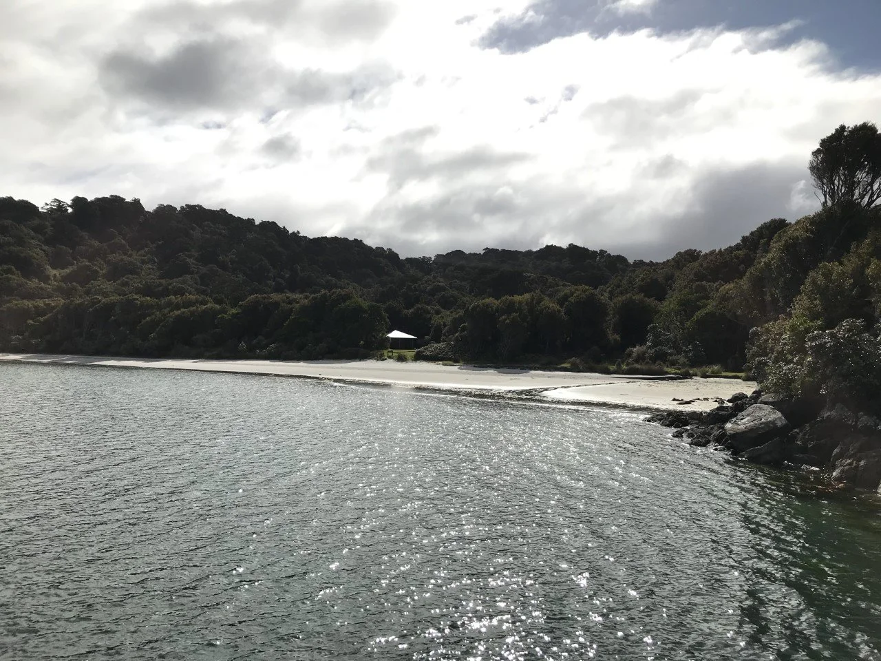 Being woken by a screaming Kiwi (the bird type) on Stewart Island