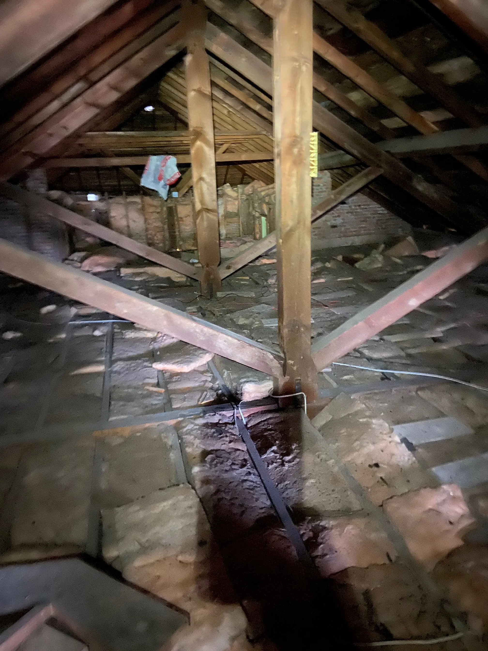 Attic_Insulation_before.jpg