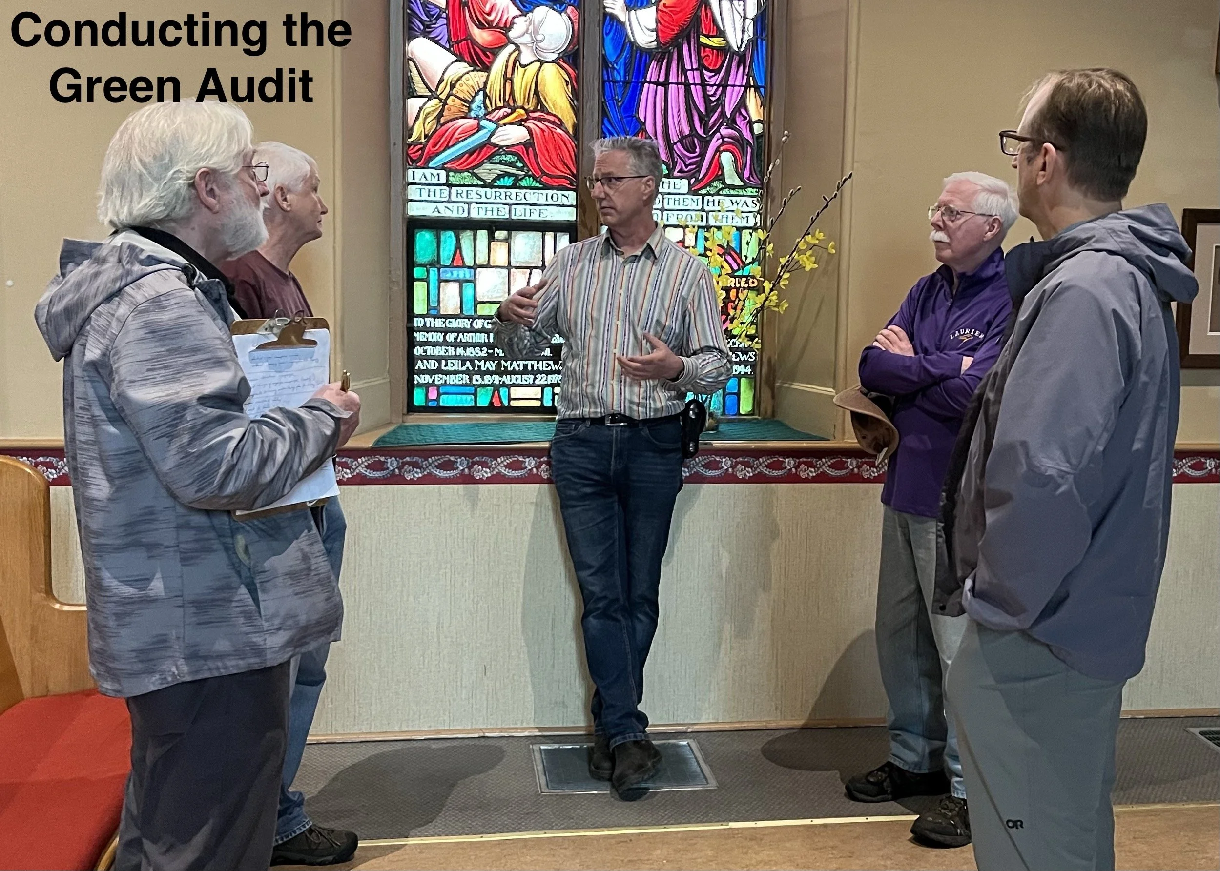 Green Auditjpeg.jpeg