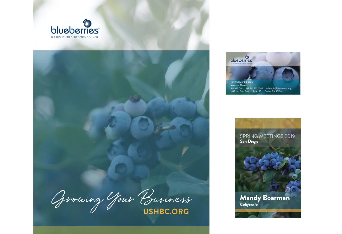 Pocket Presentation Folder, Business Card and Event Badge design for the US Highbush Blueberry Council.