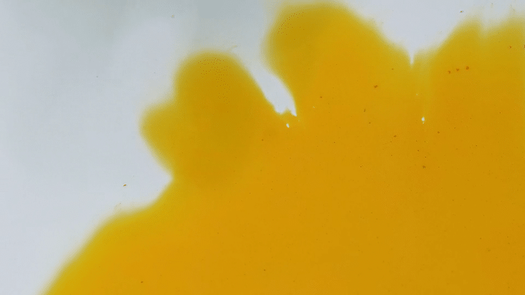 Creative - 38843.mp4-high.gif