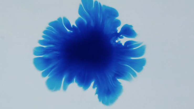 Creative - 38834.mp4-high.gif