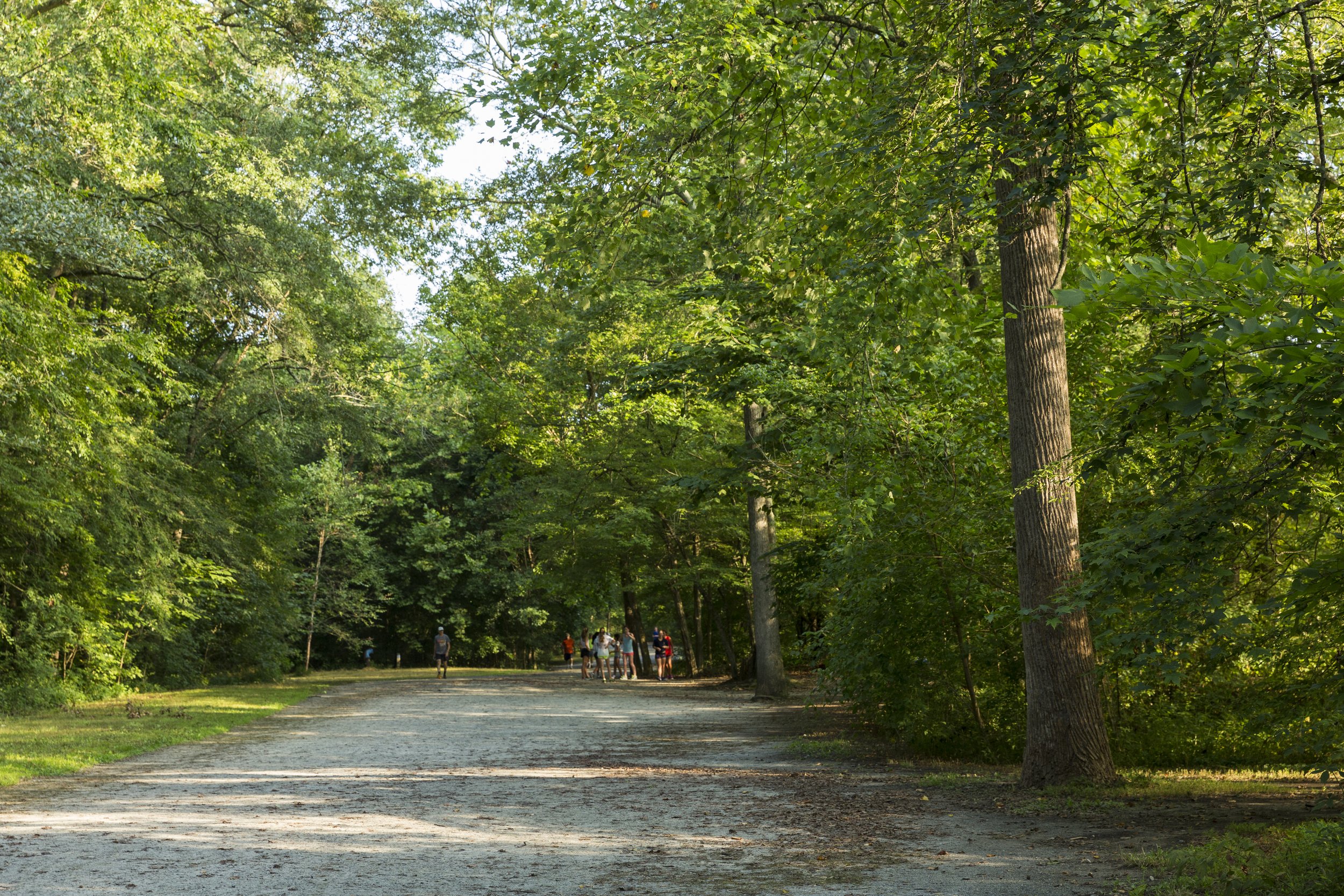 Cochran Shoals Trail