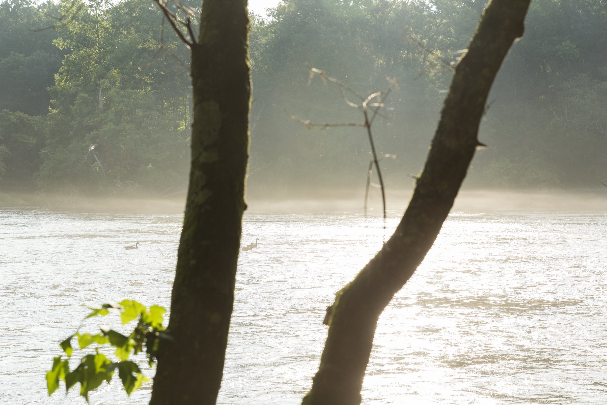 Chattahoochee River Views