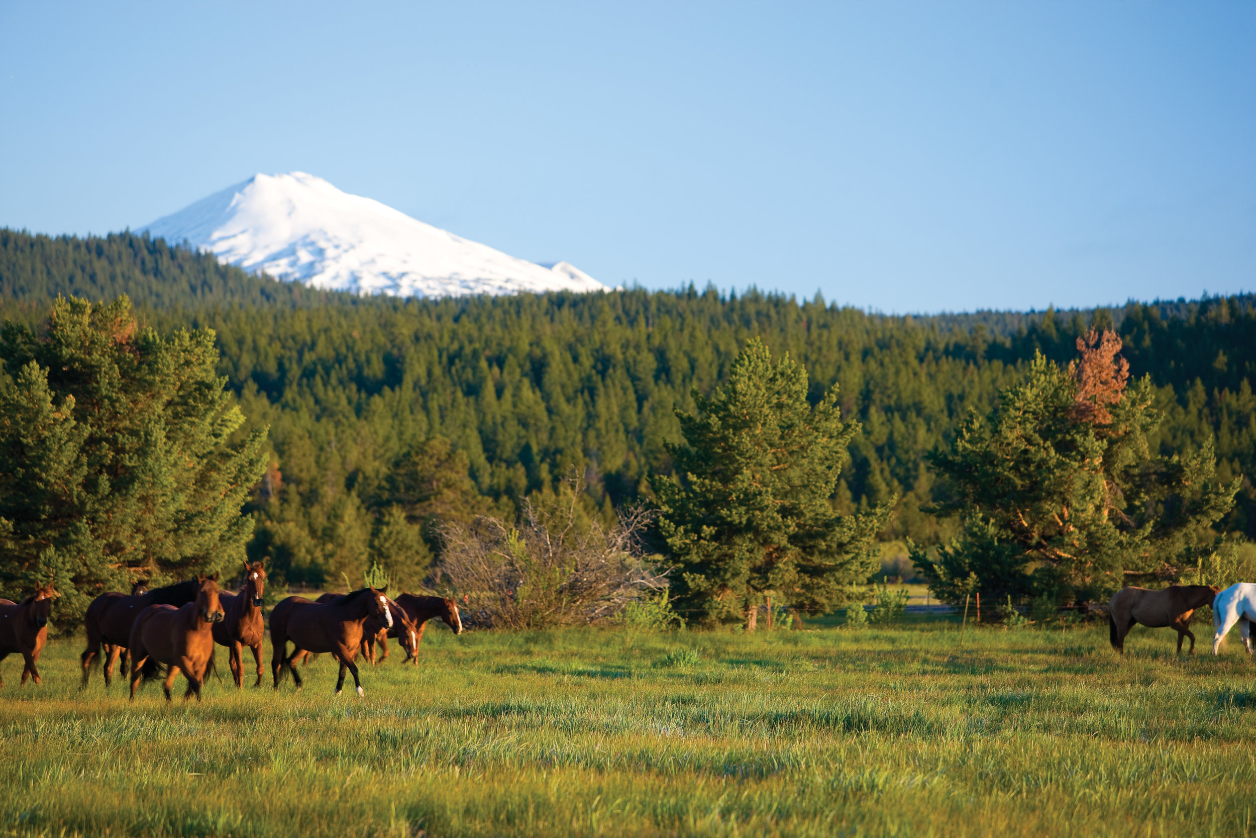Sunriver Resort