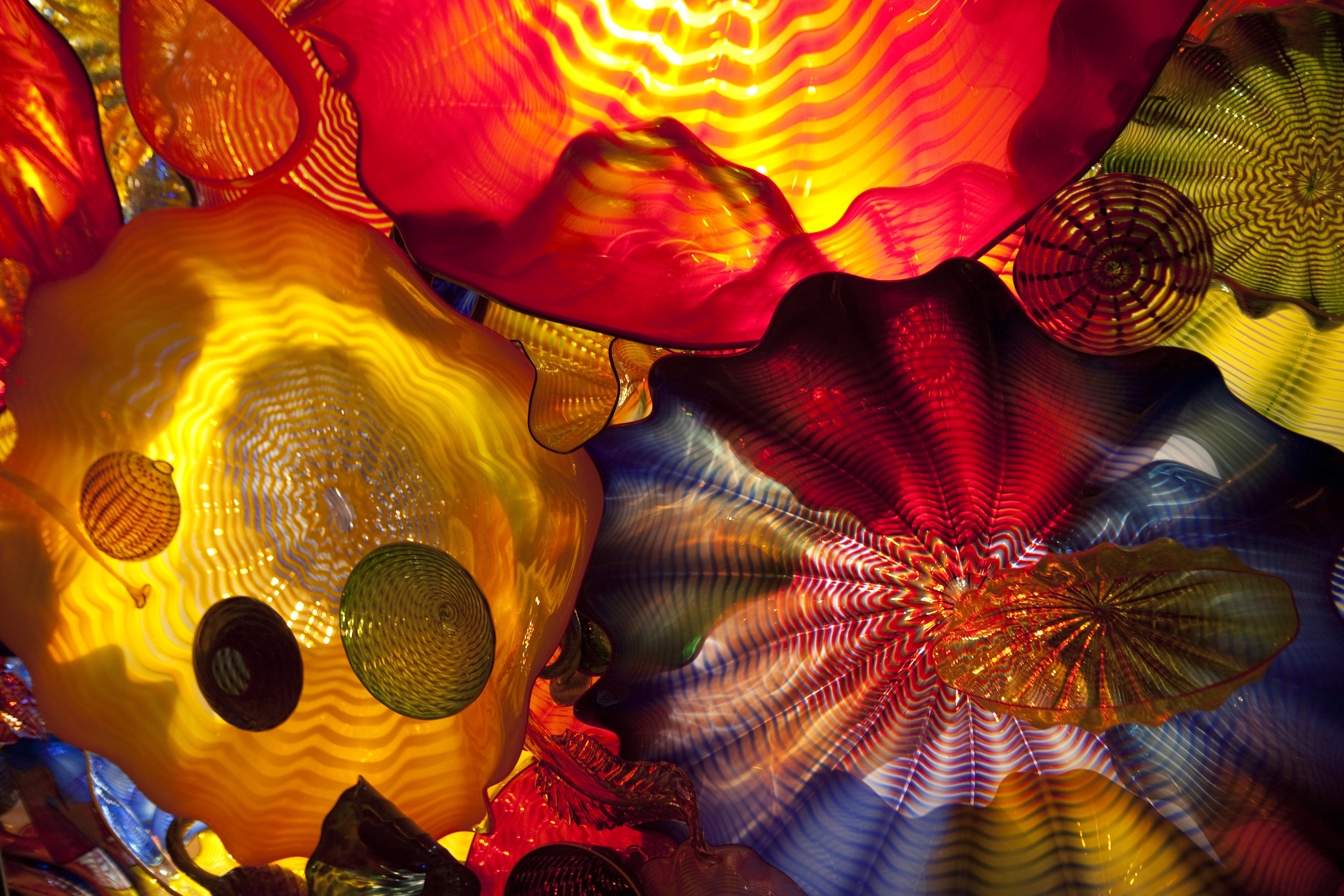 Chihuly Garden and Glass