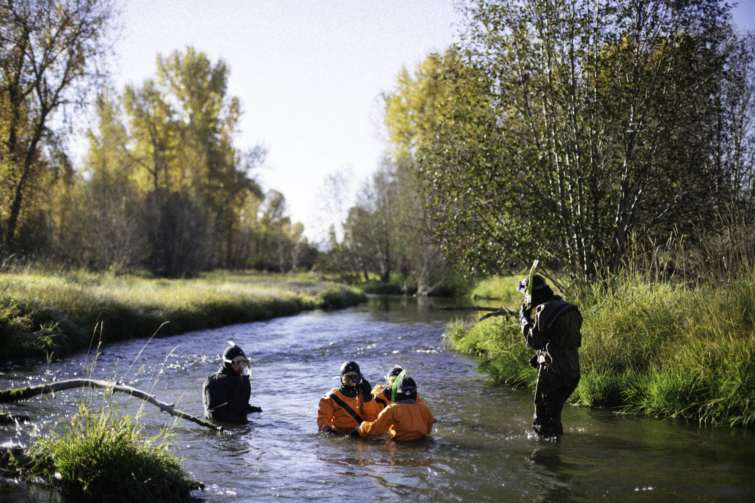  Corvallis Middle School students get a close up look at Gird Creek by snorkeling in dry suits. 