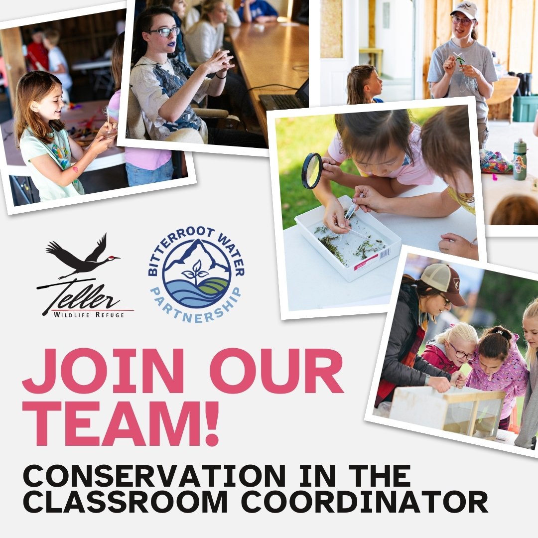 @tellerwildliferefuge and @bitterrootwater have joined forces and are excited to launch the Coordinated Conservation Learning Program (CCLP). Together, we are seeking a Conservation in the Classroom Coordinator to join our team. Follow the link in pr