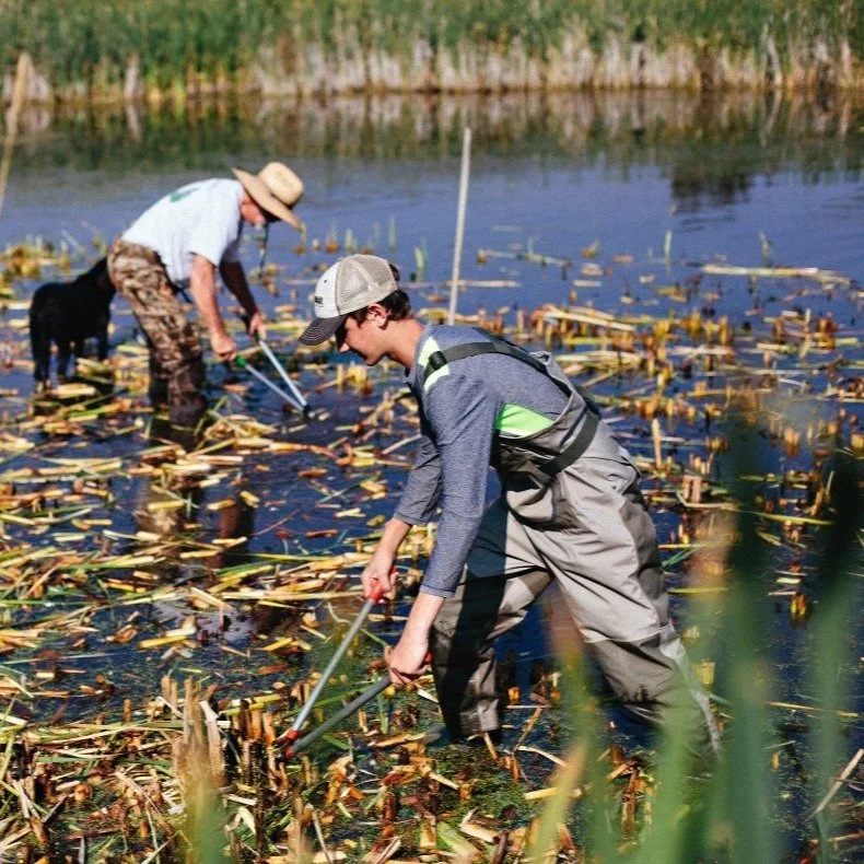 This November, we&rsquo;re taking a moment each Thursday to celebrate the people, places, and wildlife that make Teller so special.

We're kicking off our Thankful Thursday series with Teller's amazing volunteers. We&rsquo;re thankful for the many ha